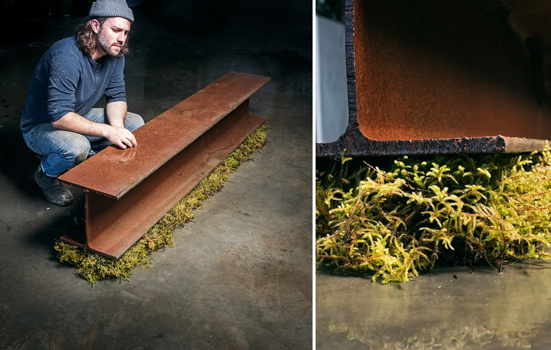 steel-moss-website.jpg