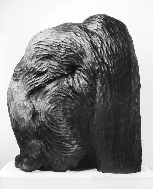 Untitled, 2019, Cedar and India Ink, 12x30x40in