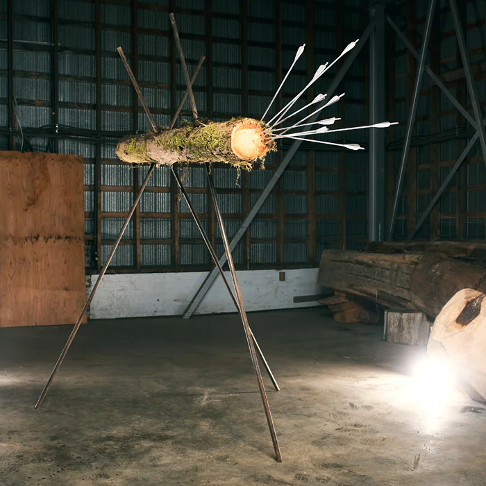 Everybody Wants Something, 2019, Cedar, Steel and 9 Arrows, 6x6x10ft