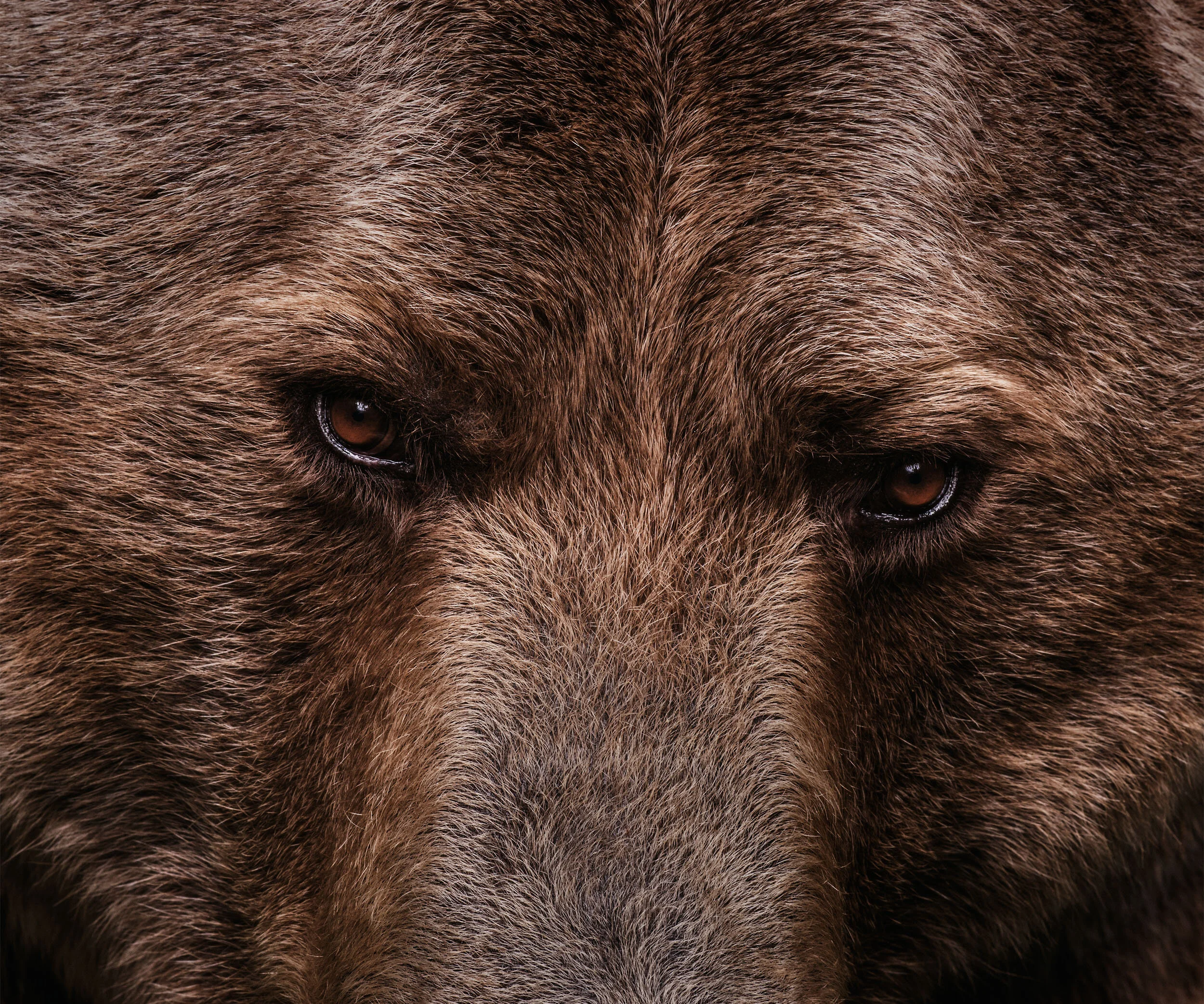 _DSC1517_edit.jpg