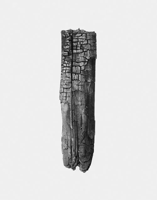 Burnt_05_11x14.jpg