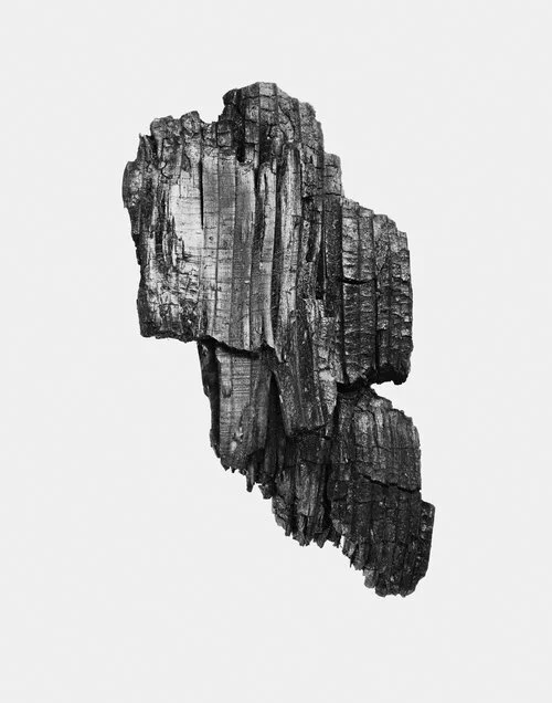 Burnt_07_11x14.jpg