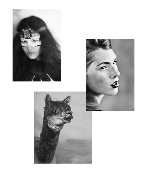 portraits.jpg
