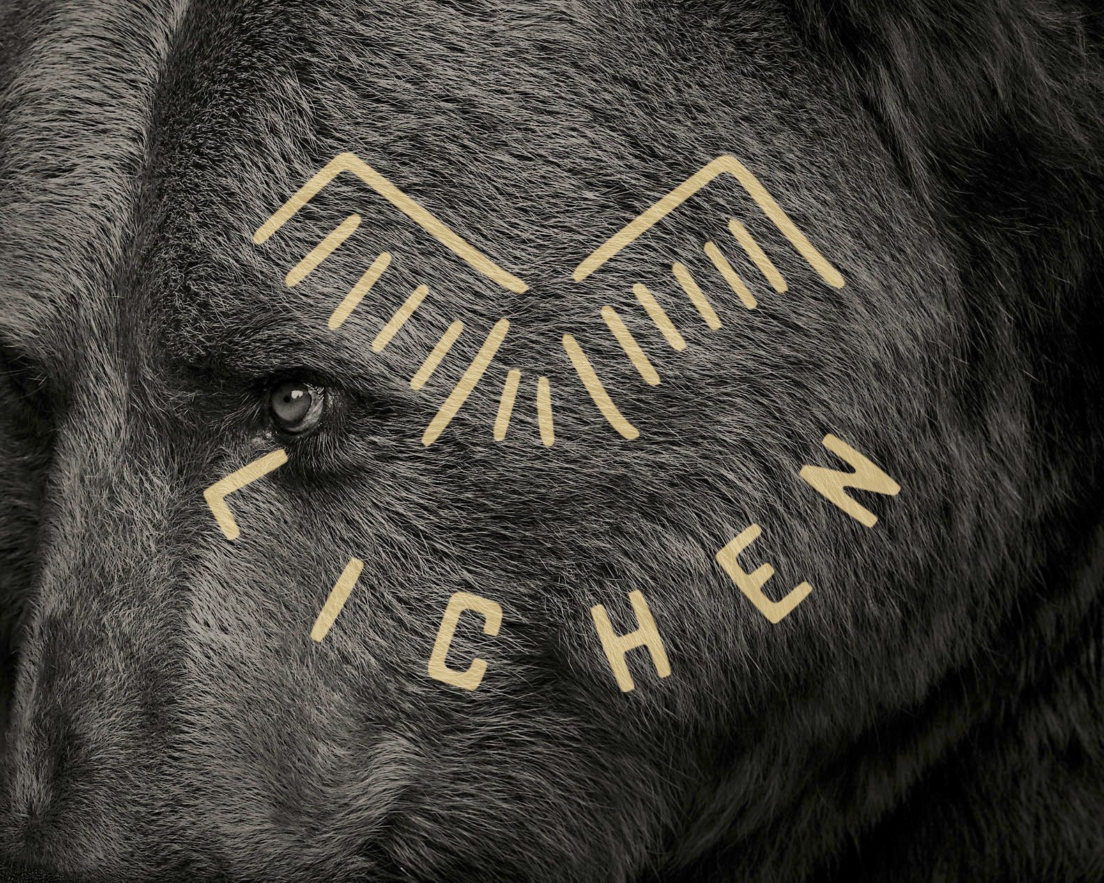 lichen-bear.jpg