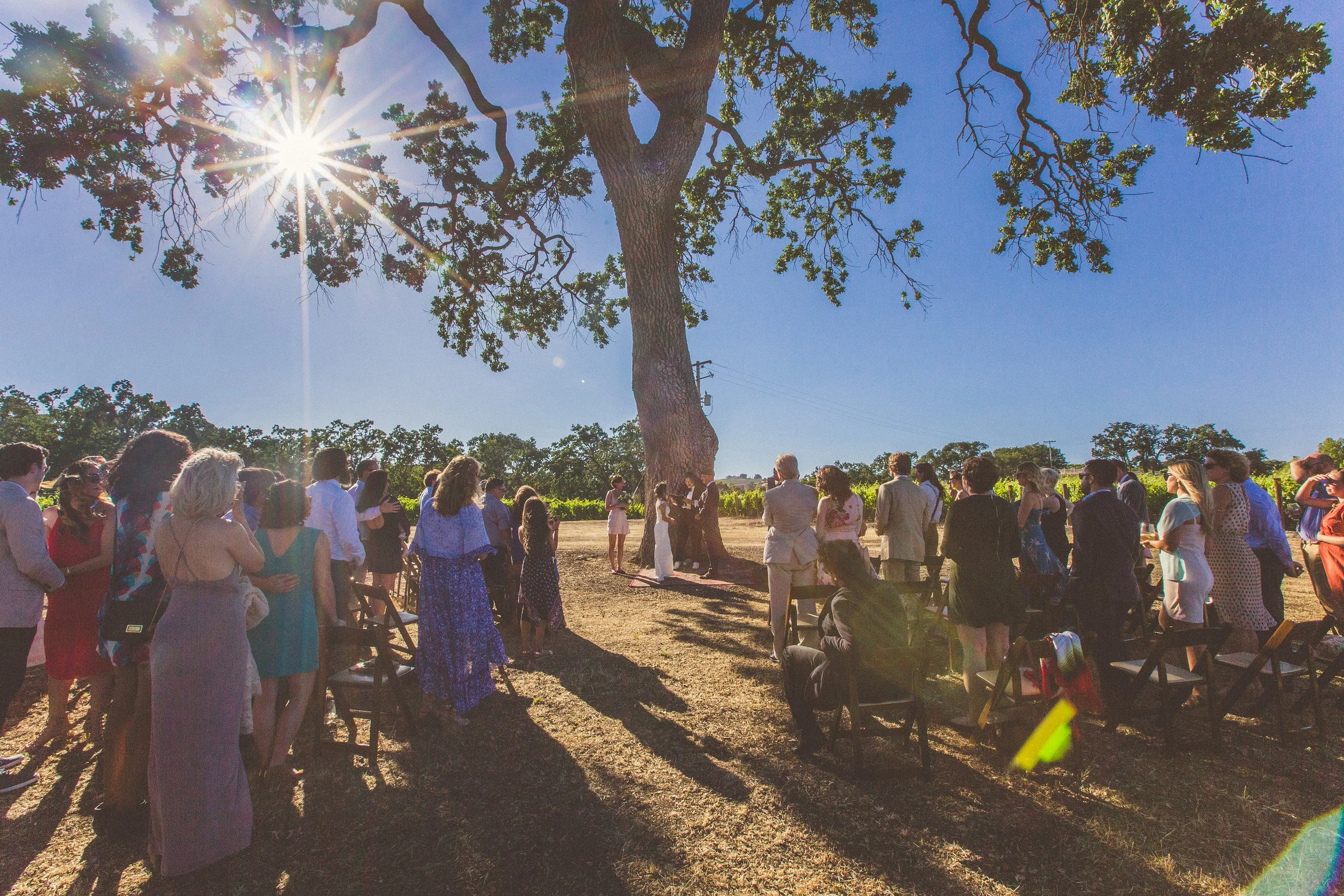 This intimate ceremony site in the vineyard was absolutely incredible! 