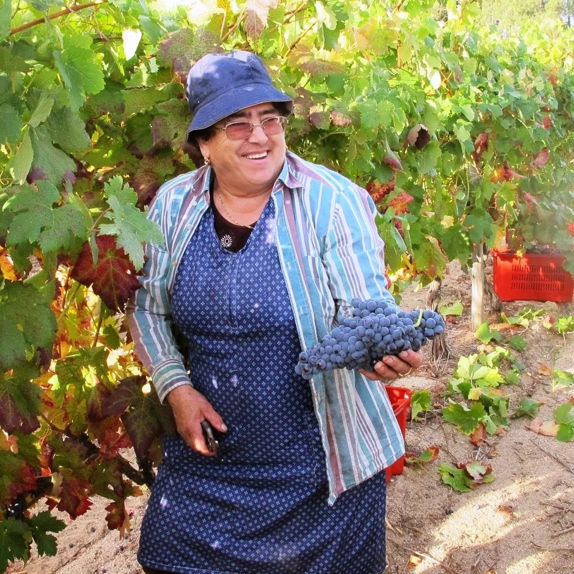 Small Business, Big Impact