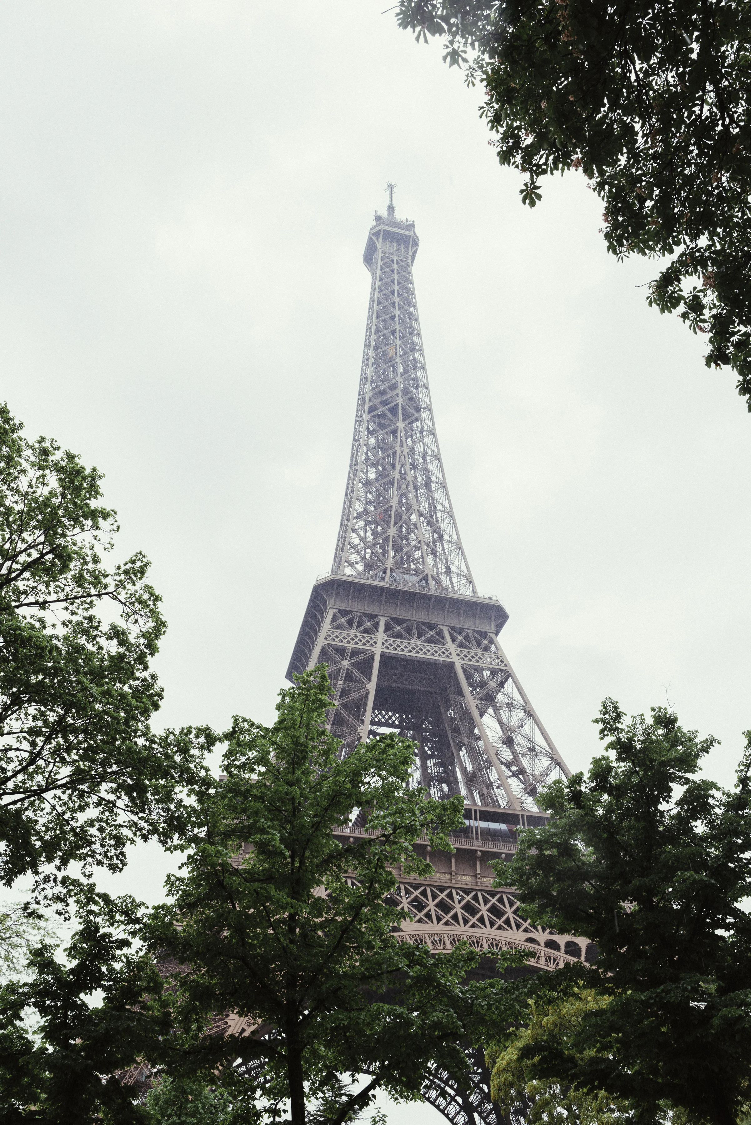   © 2016 Kaya Blaze Kelley     