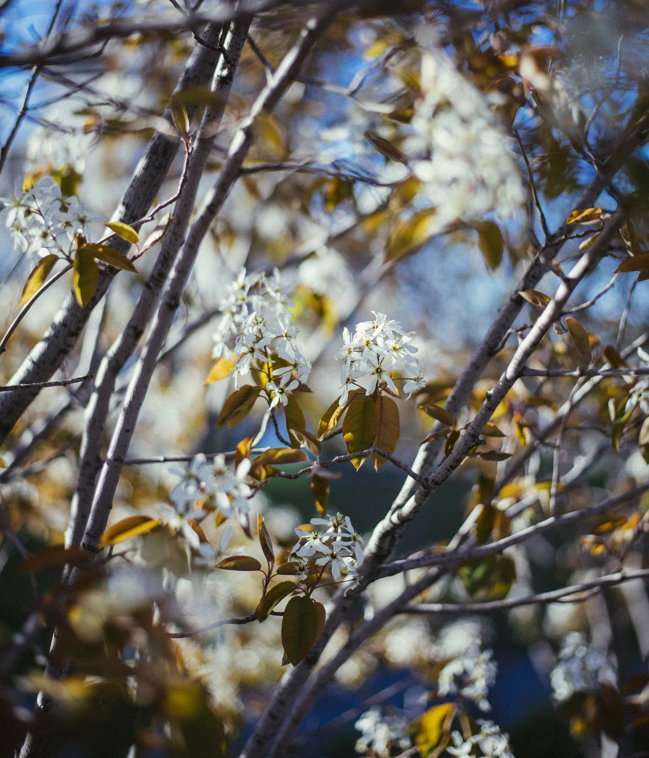_DSC8297.jpg