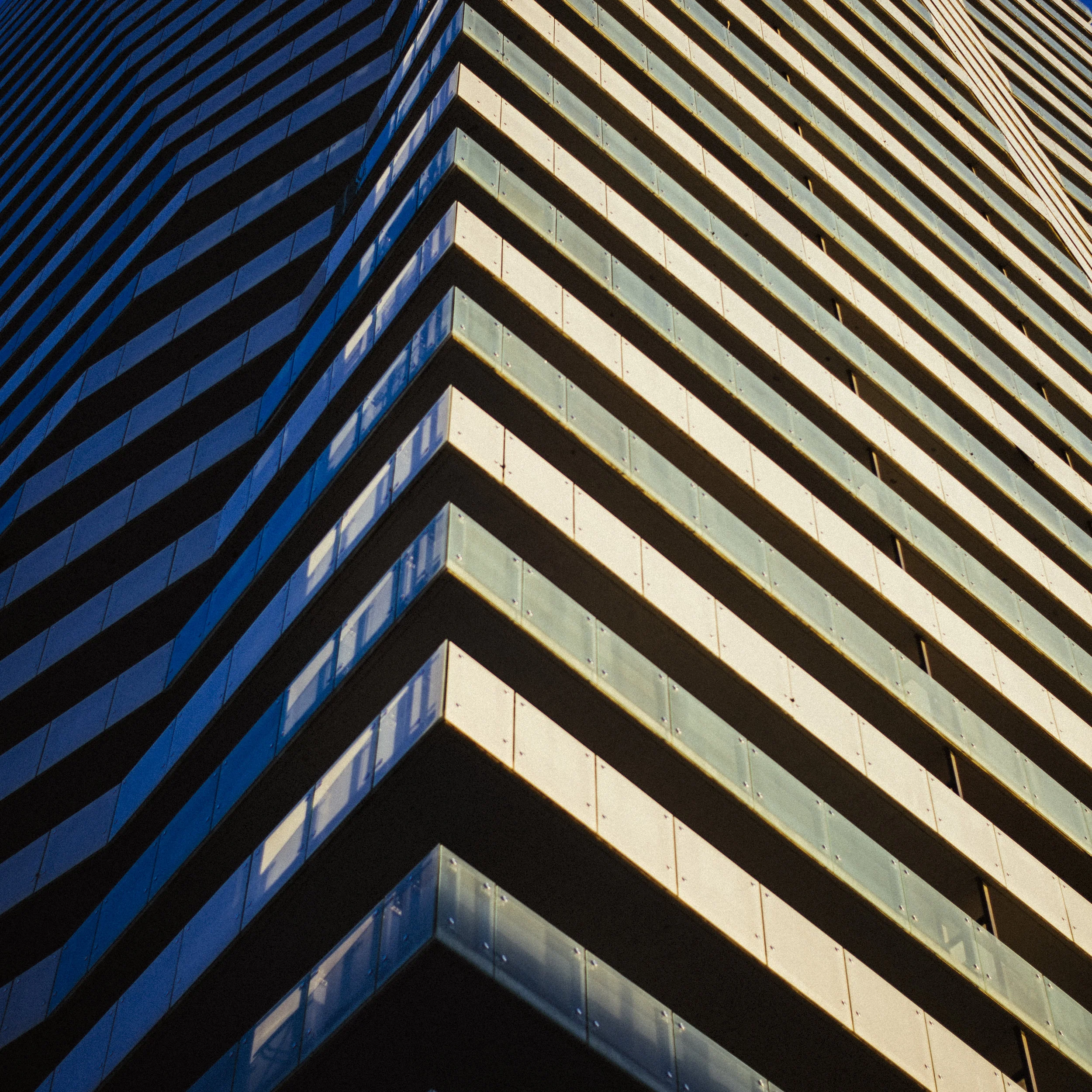 _DSC8530.jpg