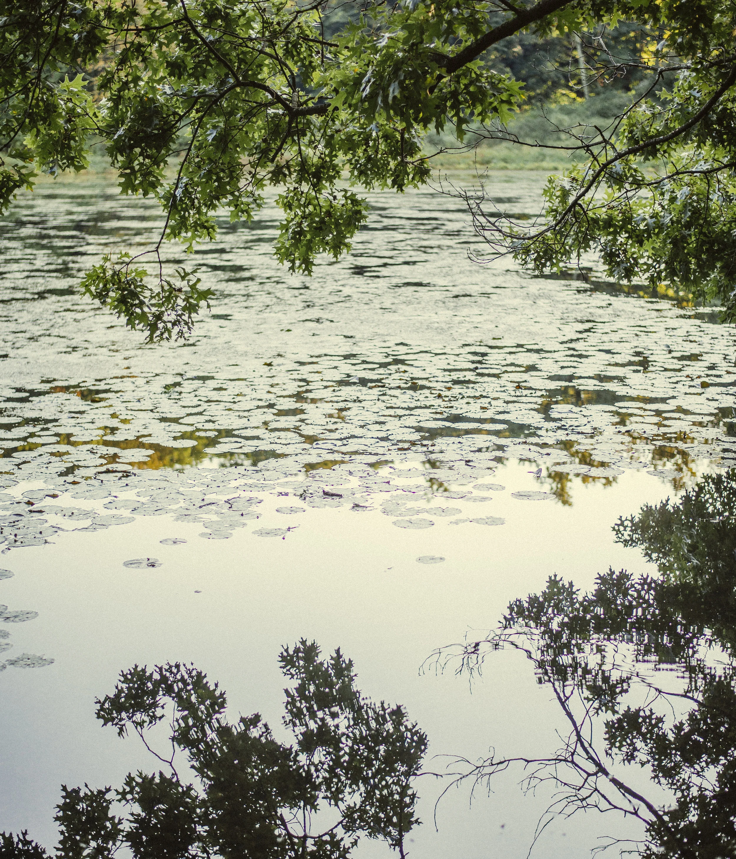 _DSC8076.jpg