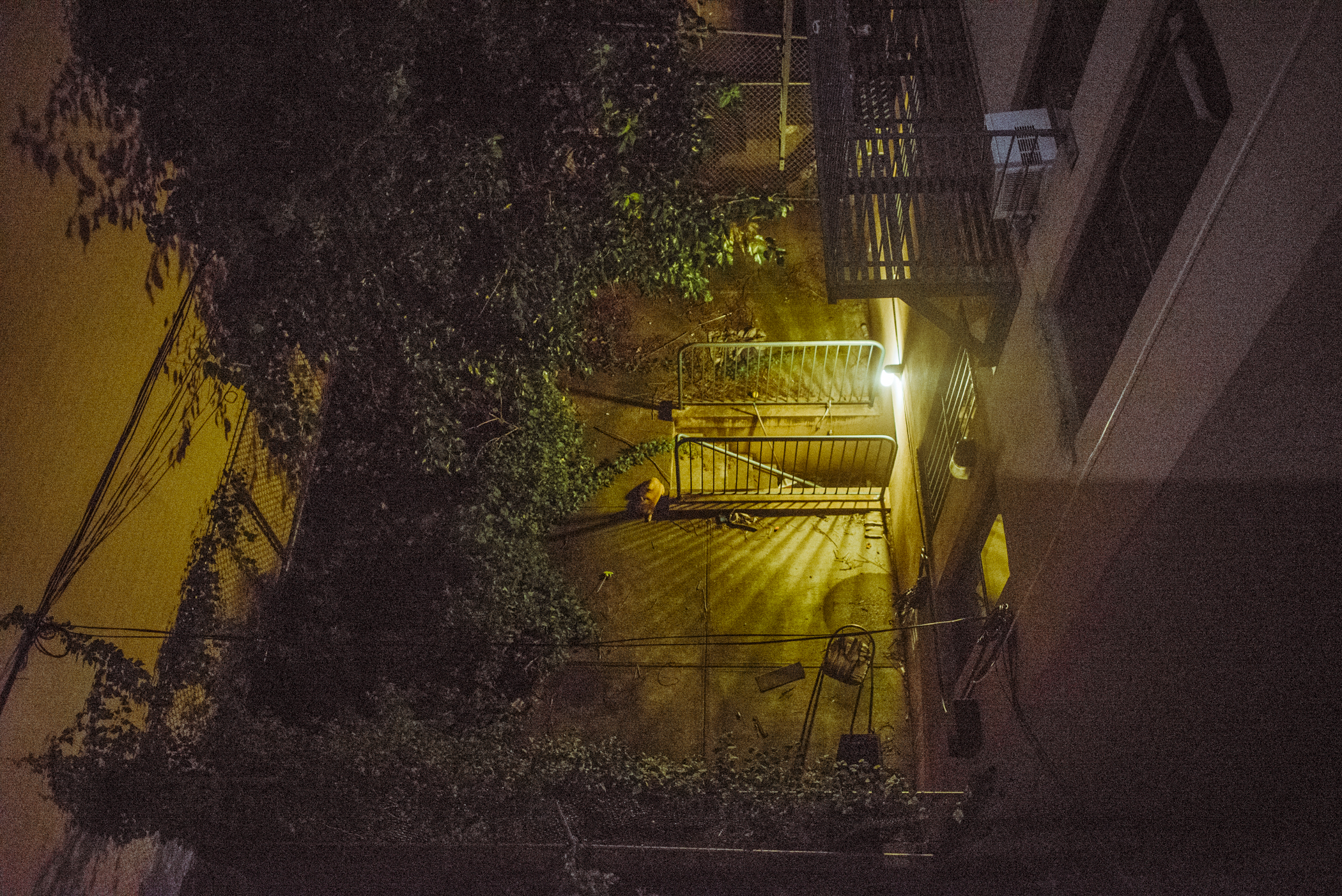 _DSC0525.jpg