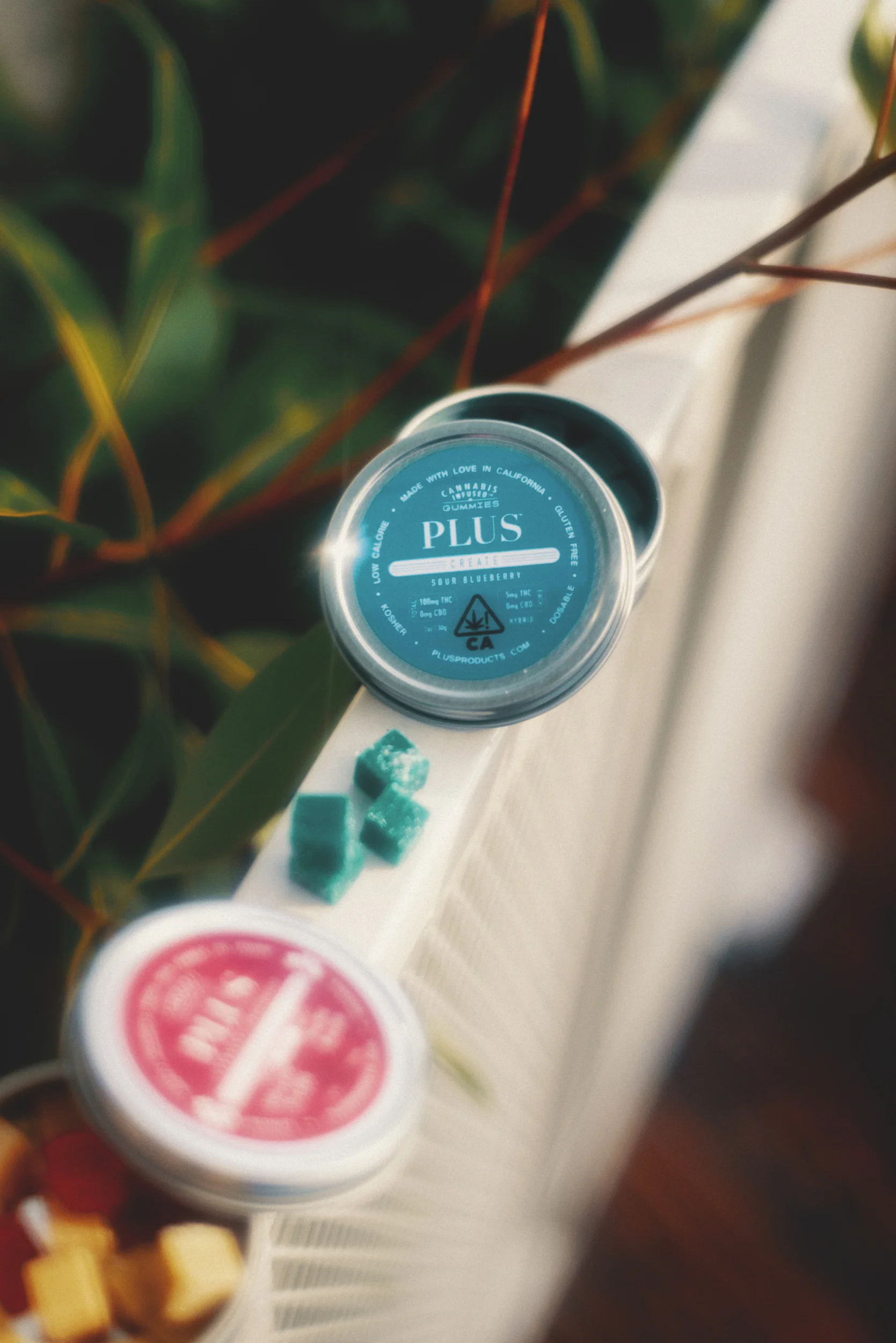 Best THC Gummies-48.jpg