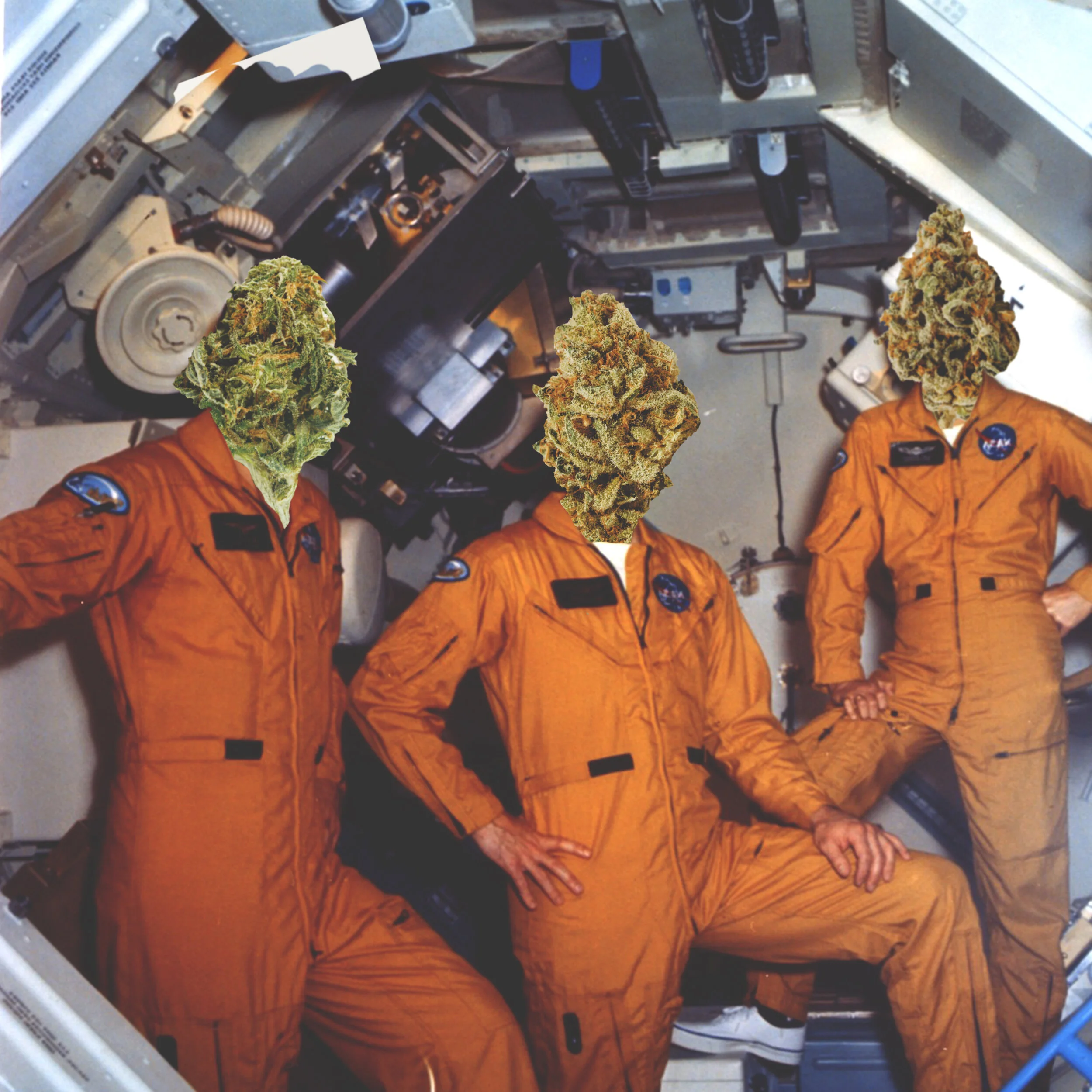 ready for liftoff.jpg