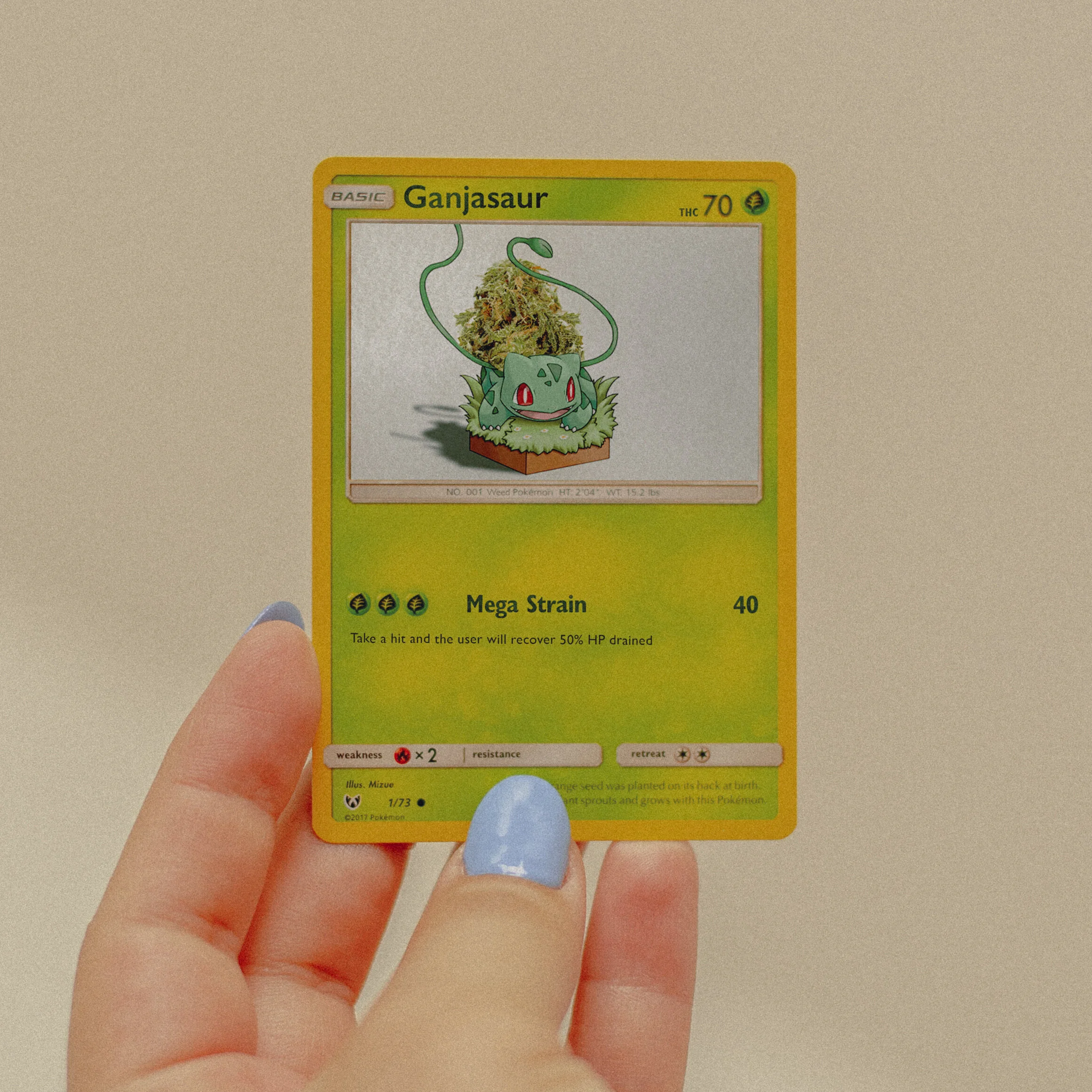 Bulbasaur.jpg