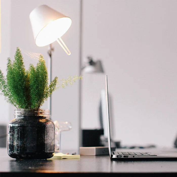 photo-square-plant-and-laptop.jpg
