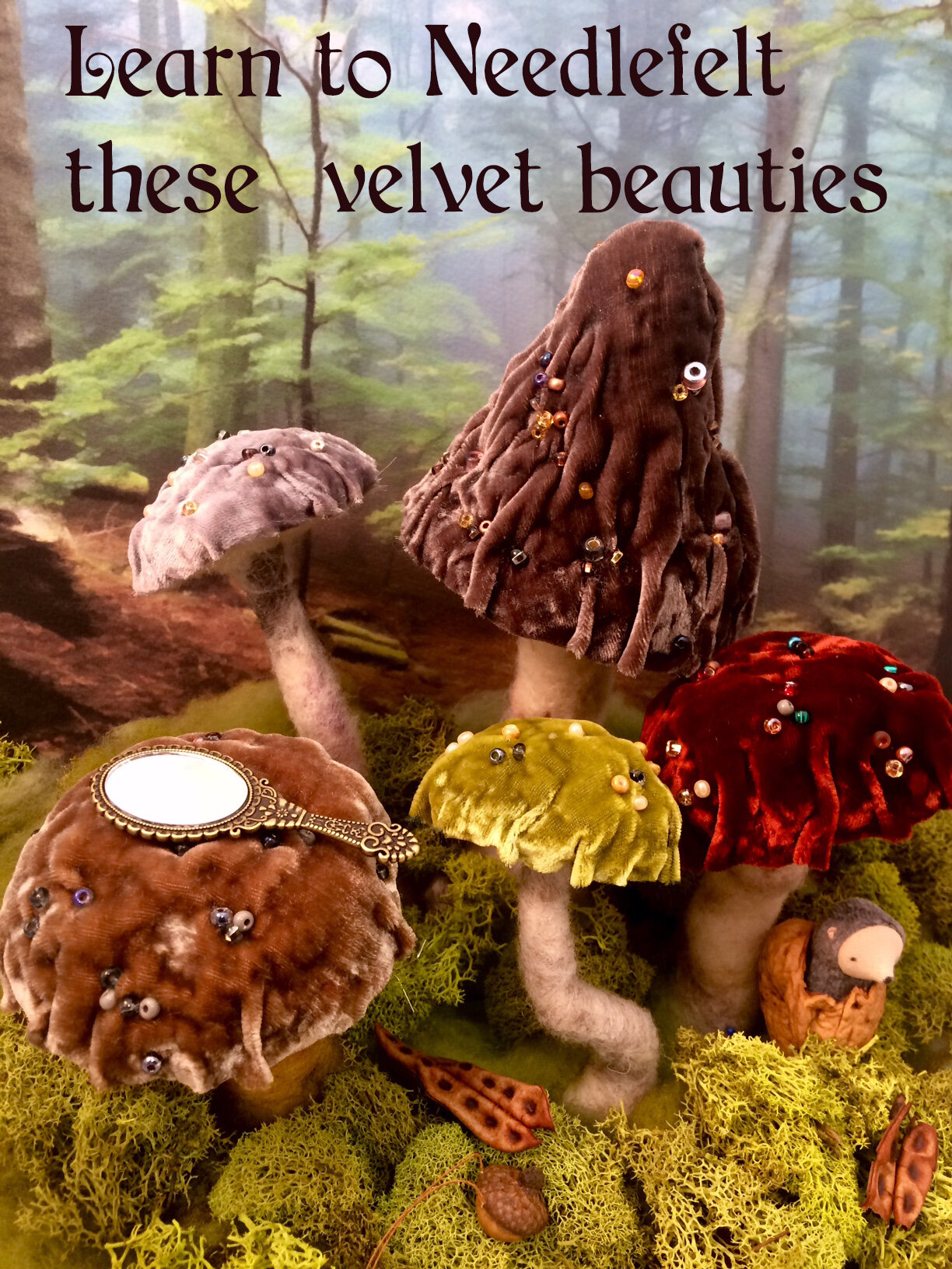 velvet mushrooms with text.jpg