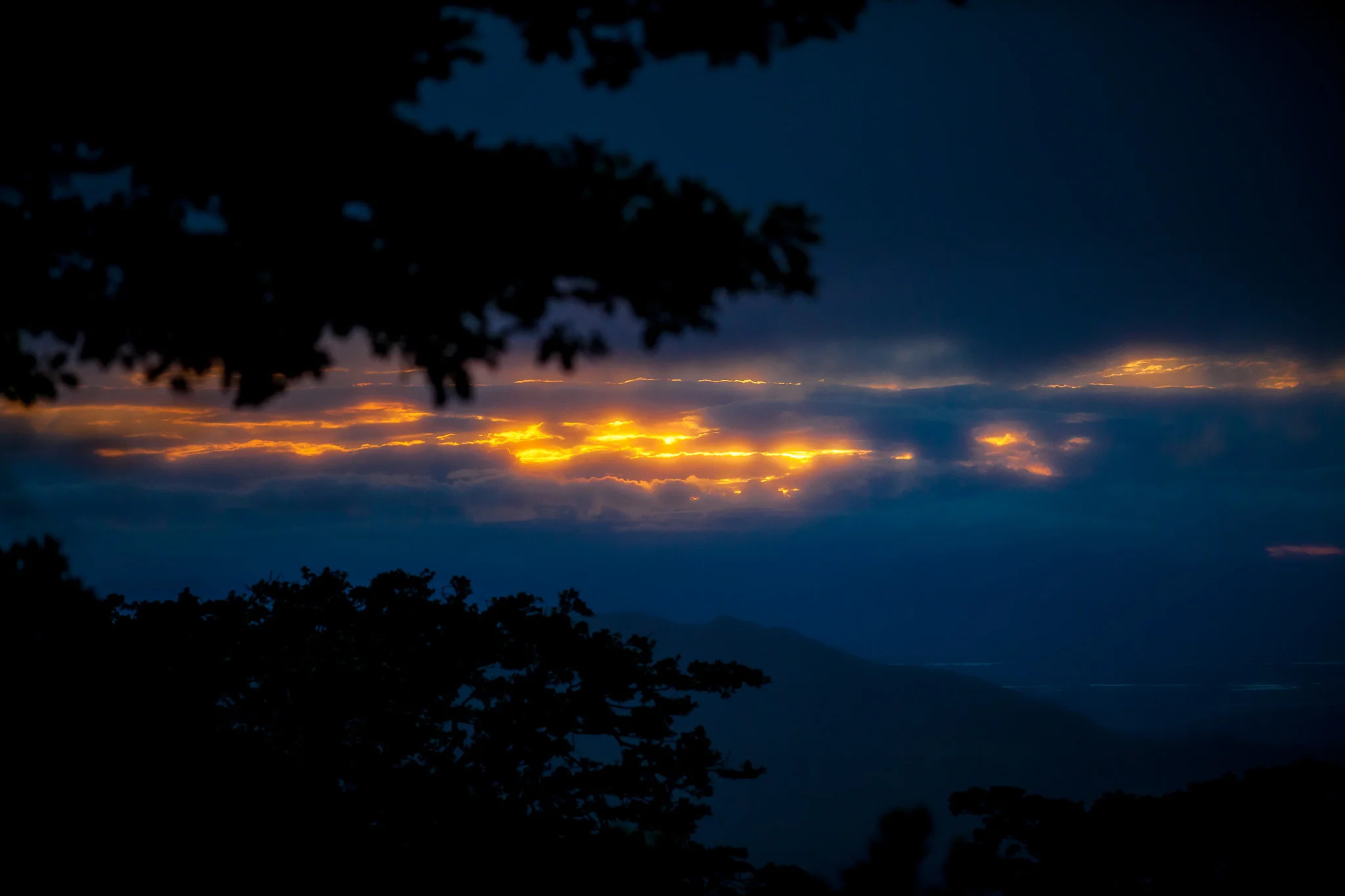 _MG_7750.jpg
