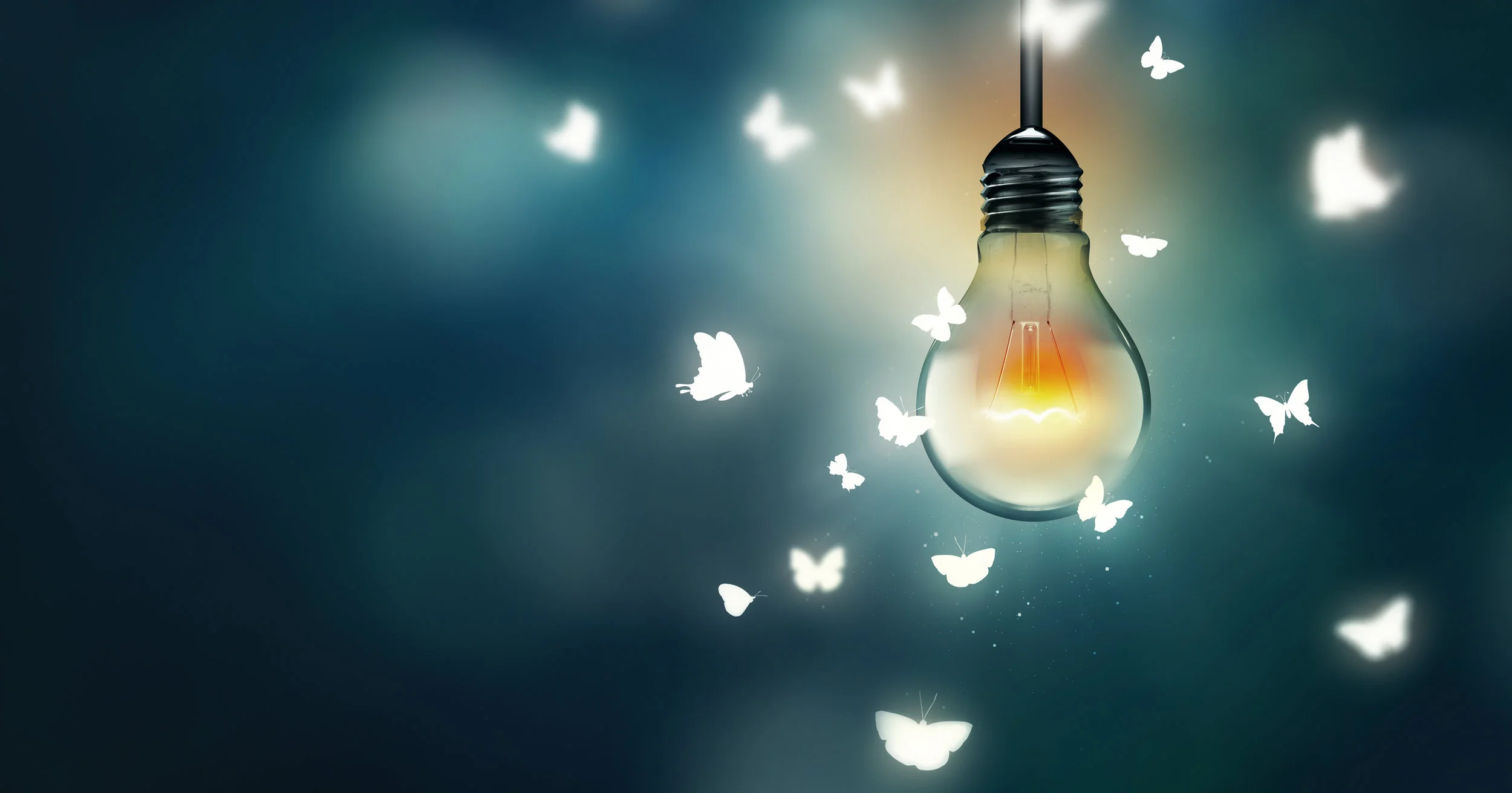 Butterflies and Light Bulb.jpg