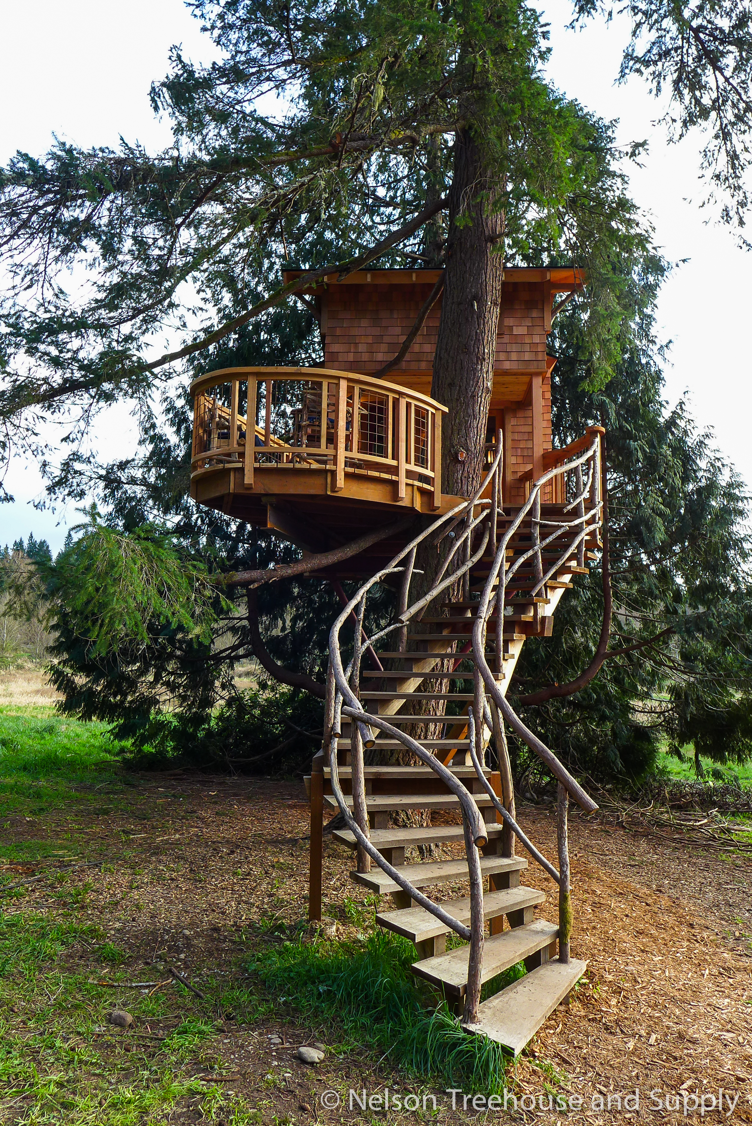Photo Tour Charlie s Treehouse  at Treehouse  Resort and Spa  Nelson Treehouse 