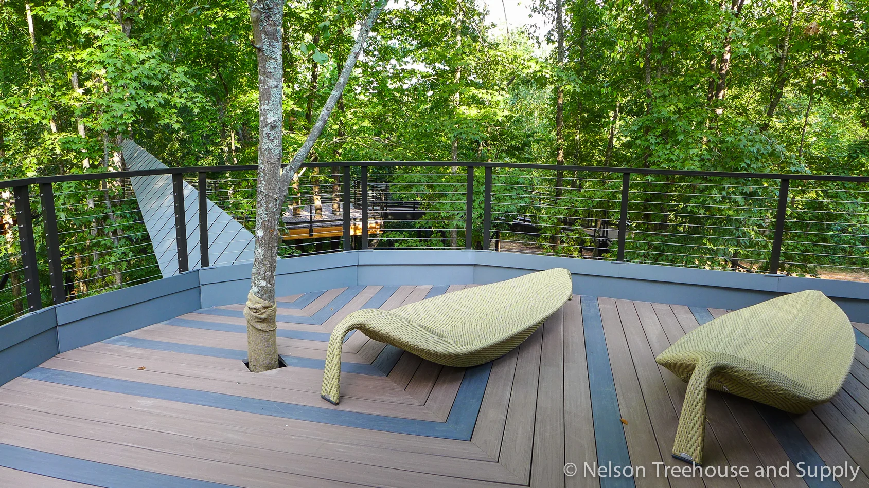 Zac Brown Space Crab — Nelson Treehouse