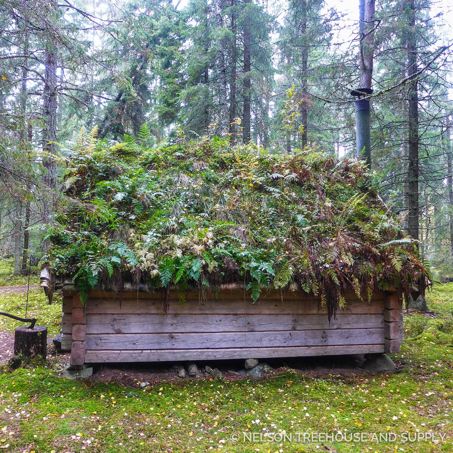 Urnatur_Sweden_2016-37.jpg