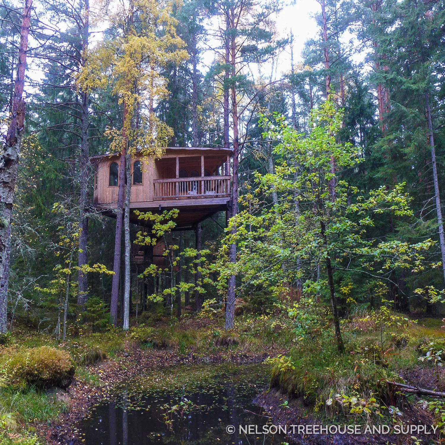 Pete had a great time with his friend Håkan Strotz at Urnatur in Sweden!