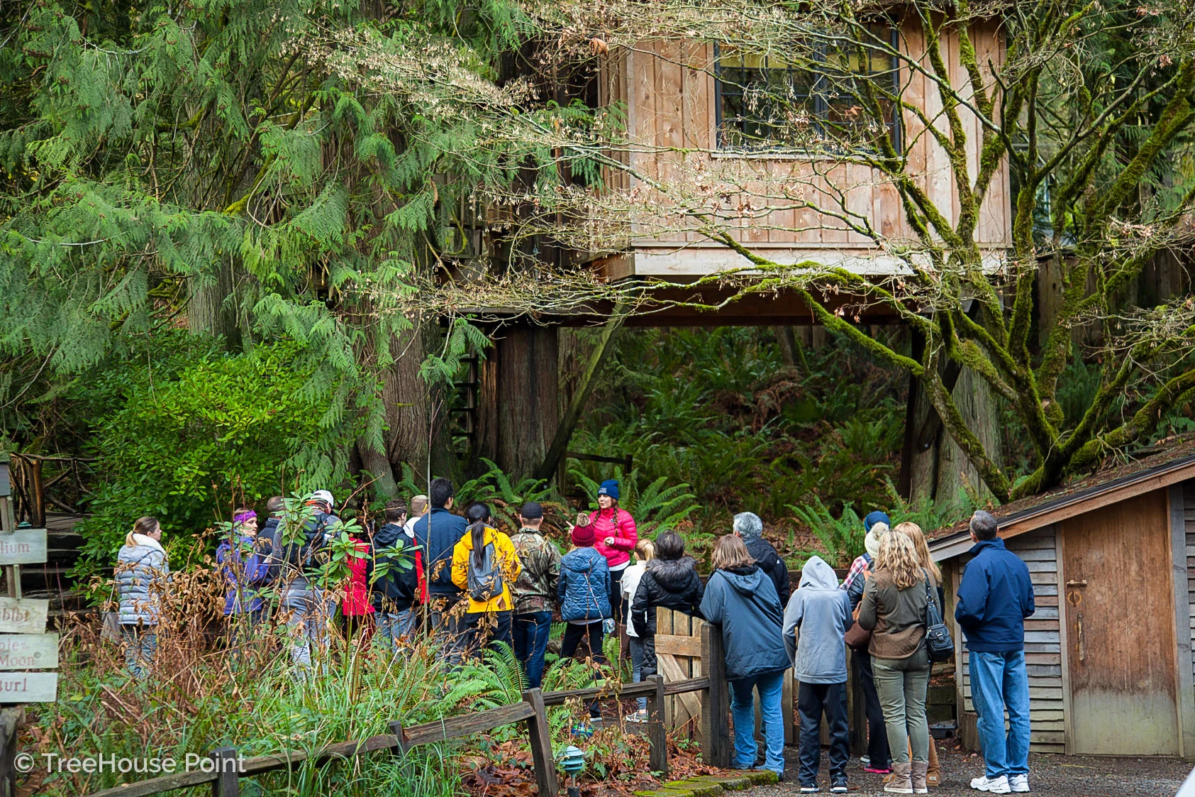 a tour group admires the upper Pond at TreeHouse Point.