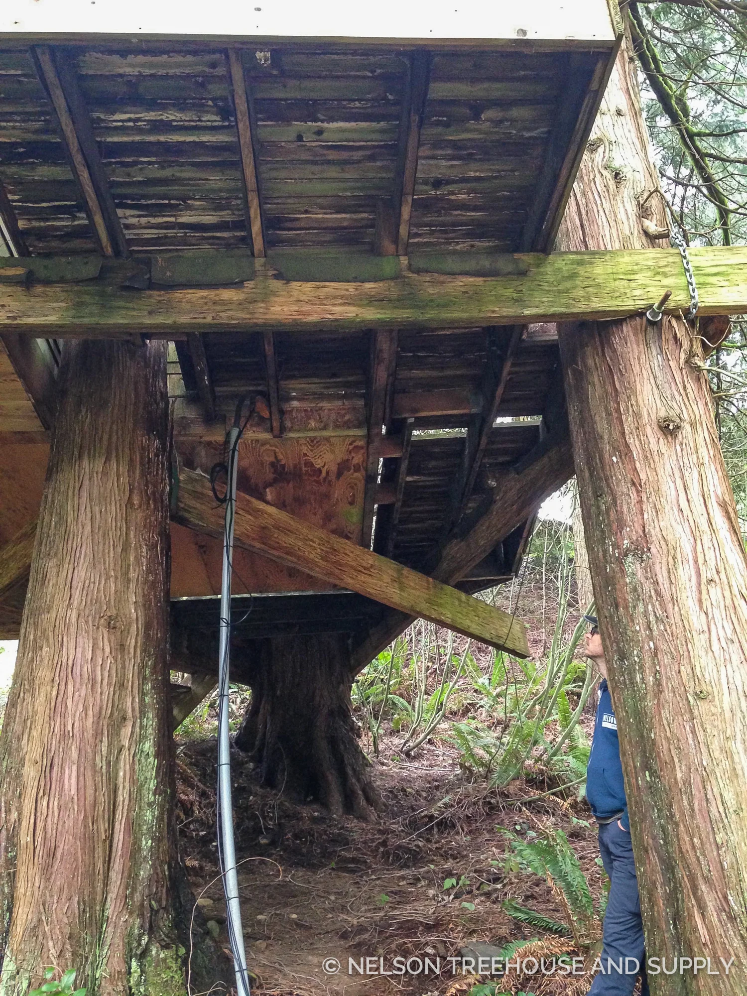 BEFORE TREEHAB