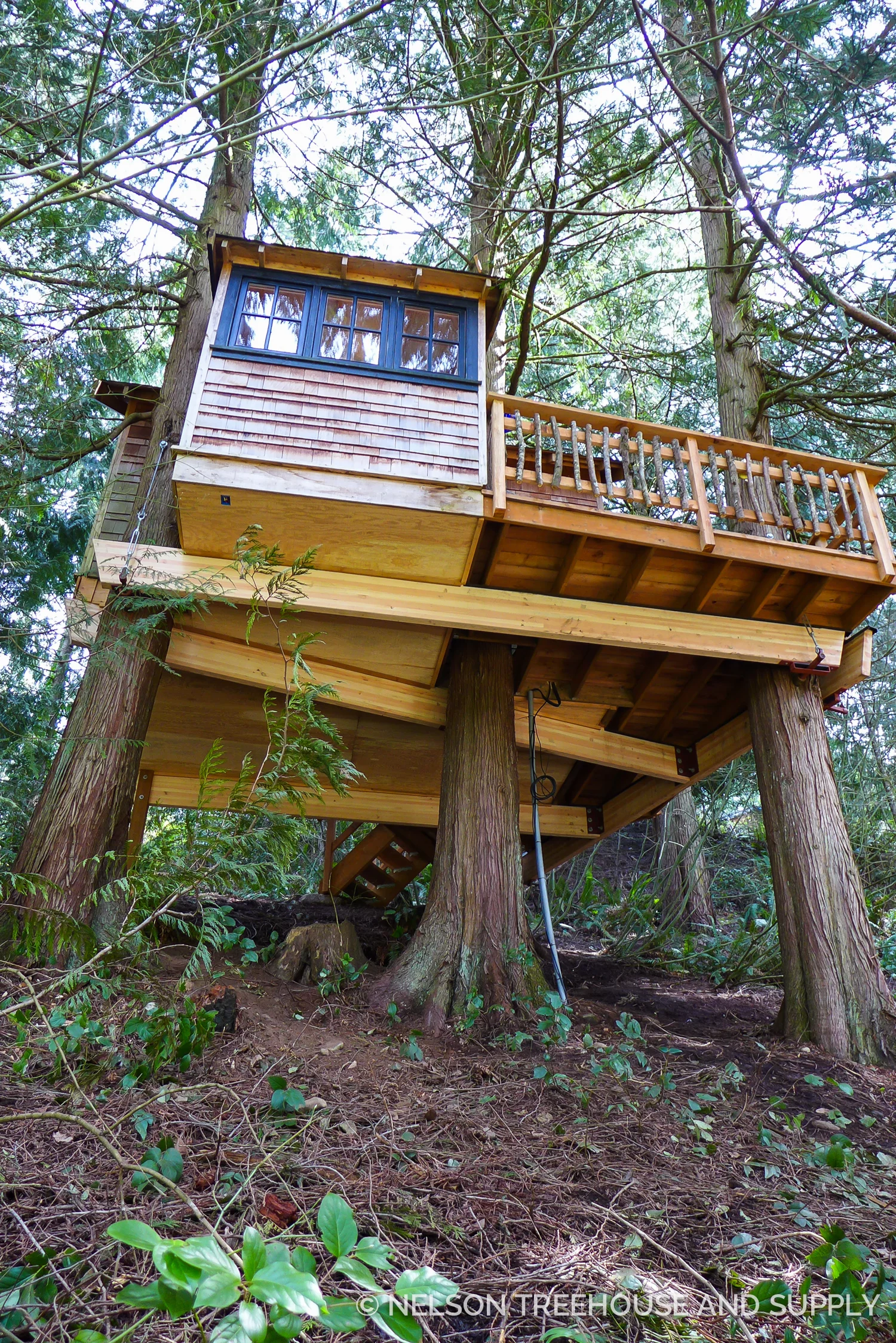 The crew updated the platform with modern hardware, new beams, fresh insulation, and tighter rodent-proofing.