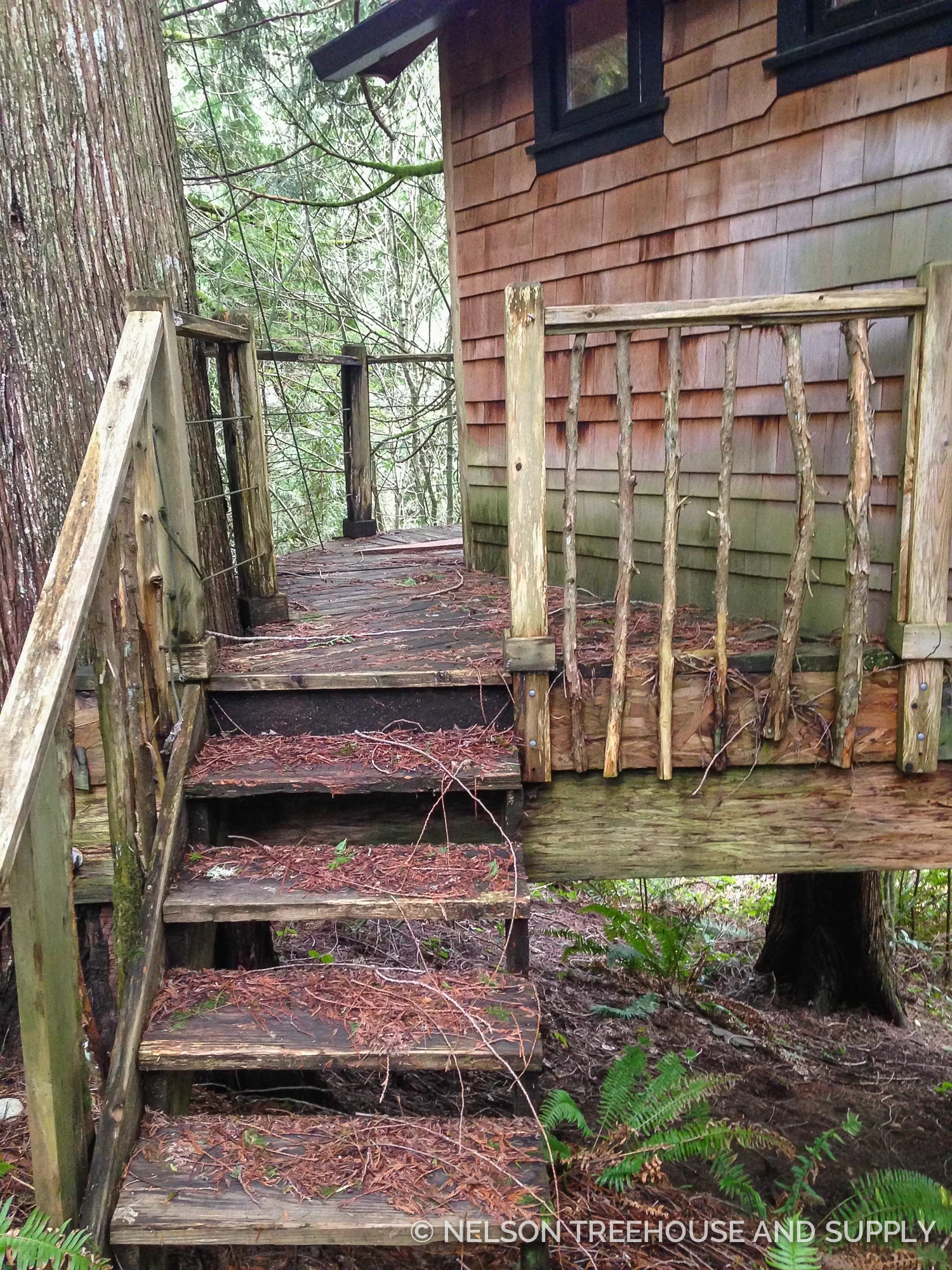 Treehouses in wet environments like the Pacific Northwest require upkeep to prevent wood rot. The crew replaced the stairs, railings, and deck with pressure-treated wood.