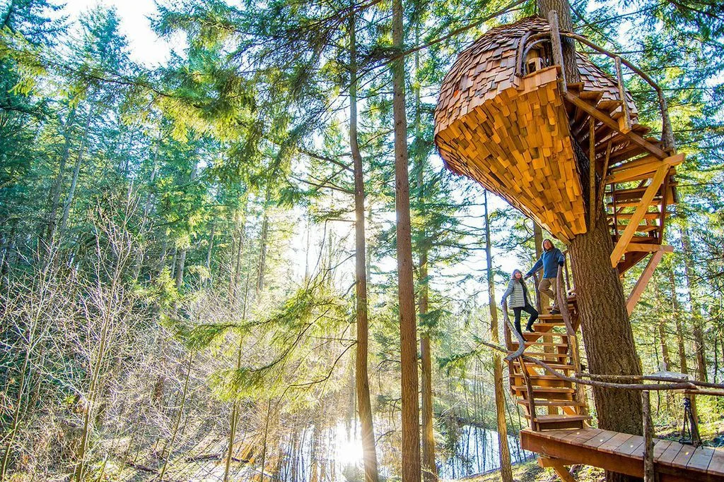 The Beehive Treehouse in Washington