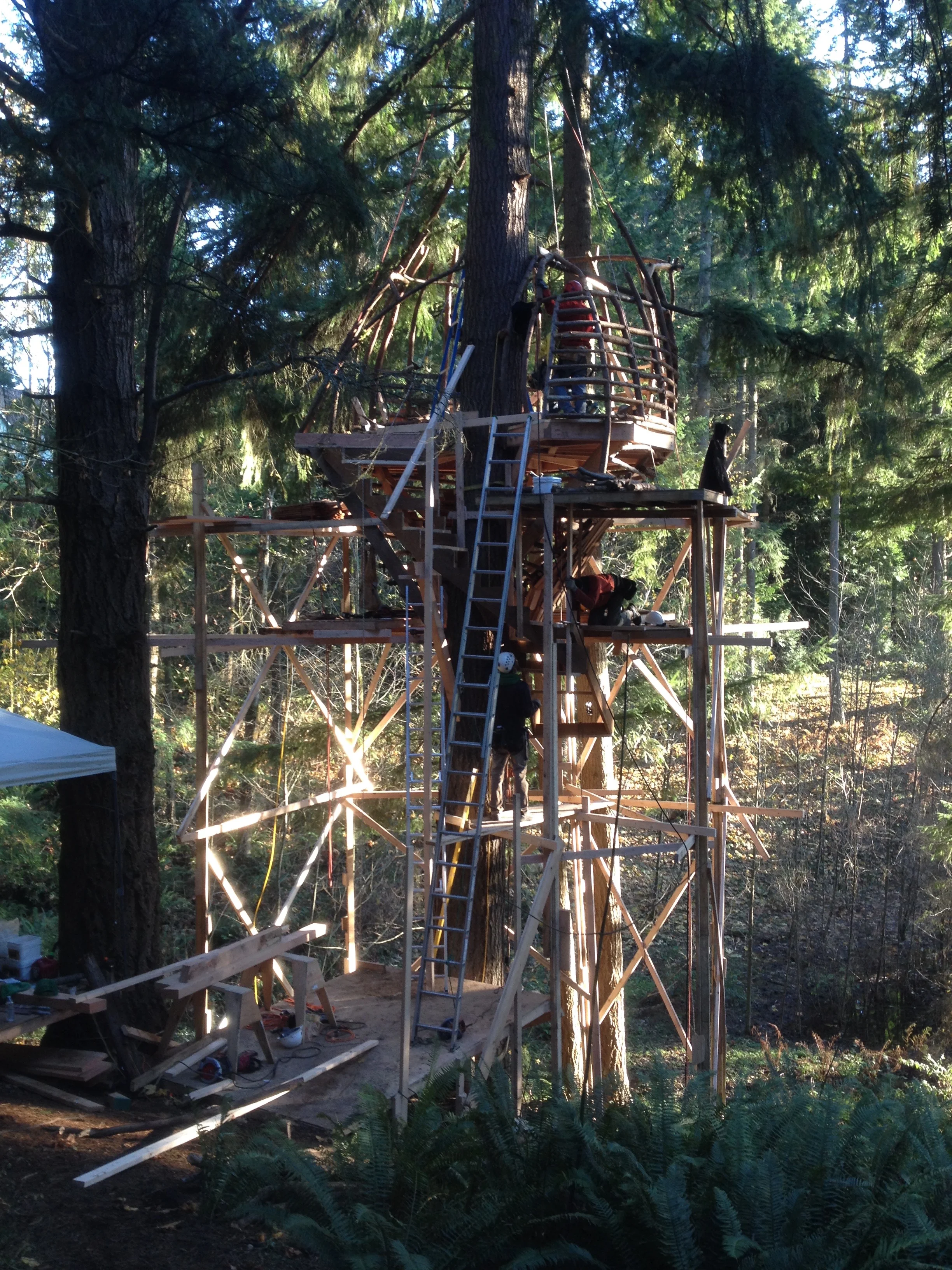 Building The Beehive Treehouse