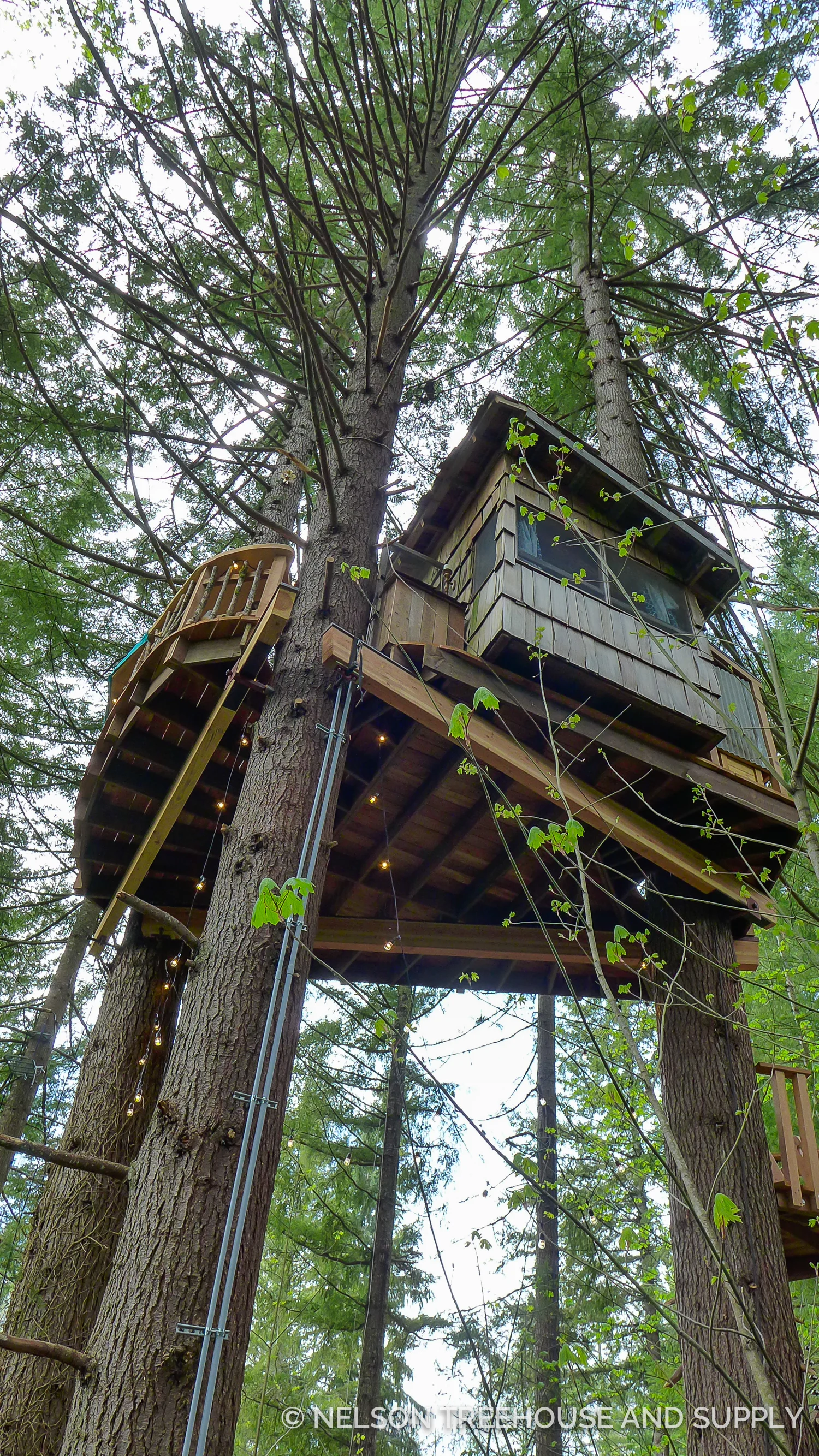 2015_Emily_Patrick_Issaquah-25.jpg