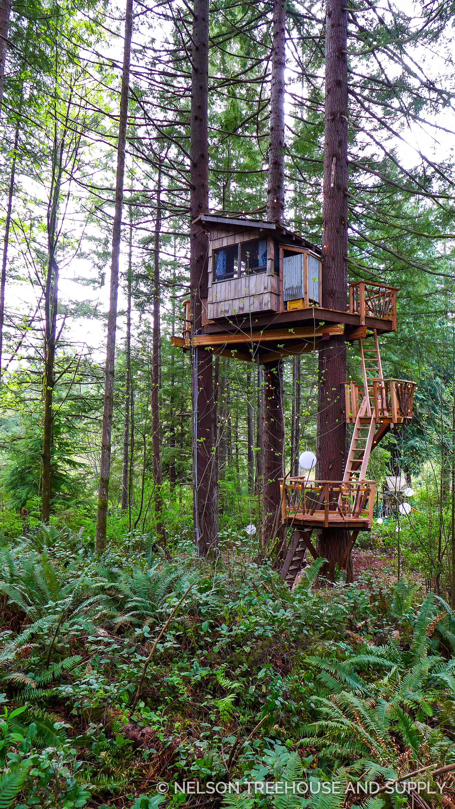 2015_Emily_Patrick_Issaquah-29.jpg