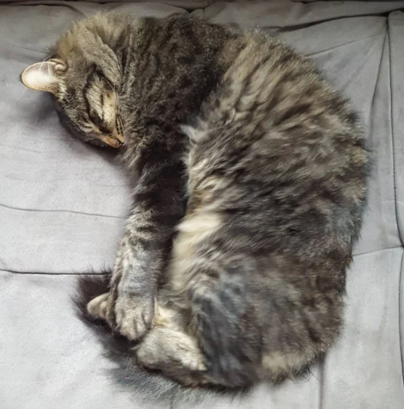He's also soft in All the right places.