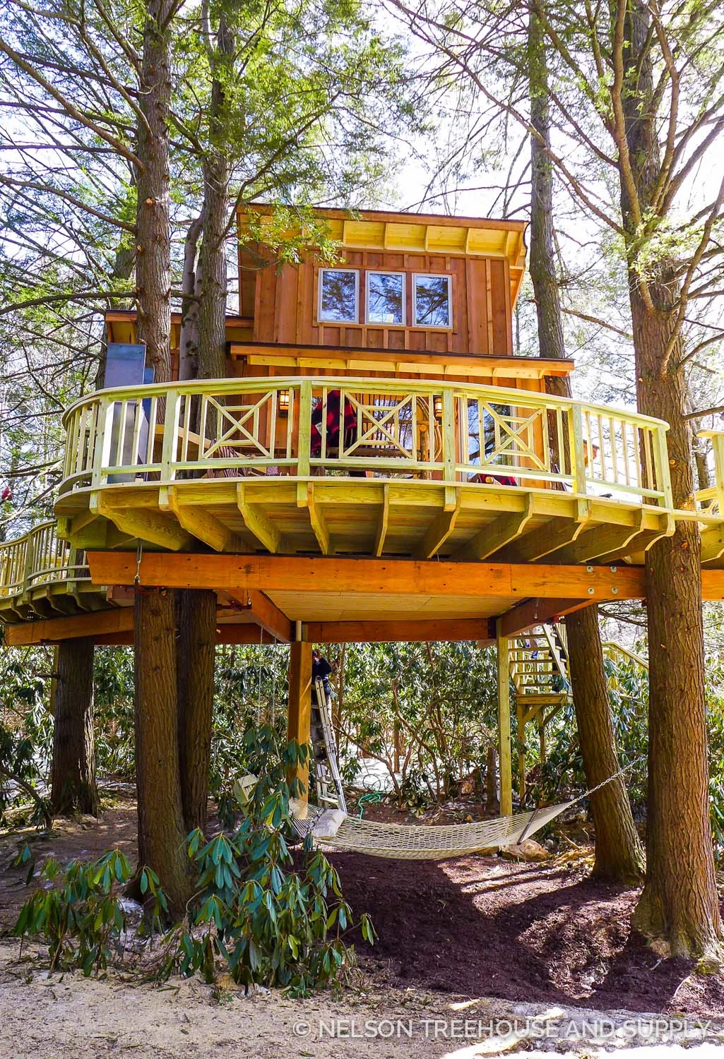 #treehousefriday: Ultimate Giveaway Treehouse — Nelson Treehouse