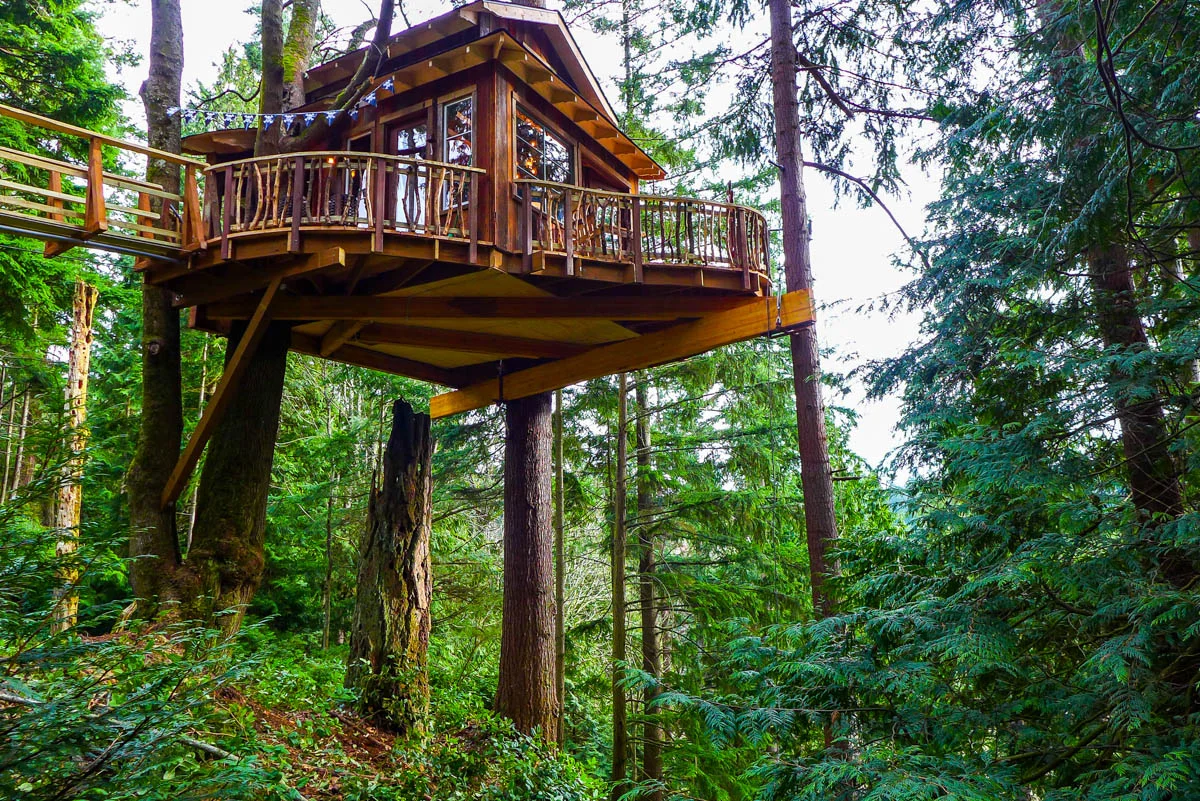 #treehousefriday: Sky Pirate Hideout — Nelson Treehouse