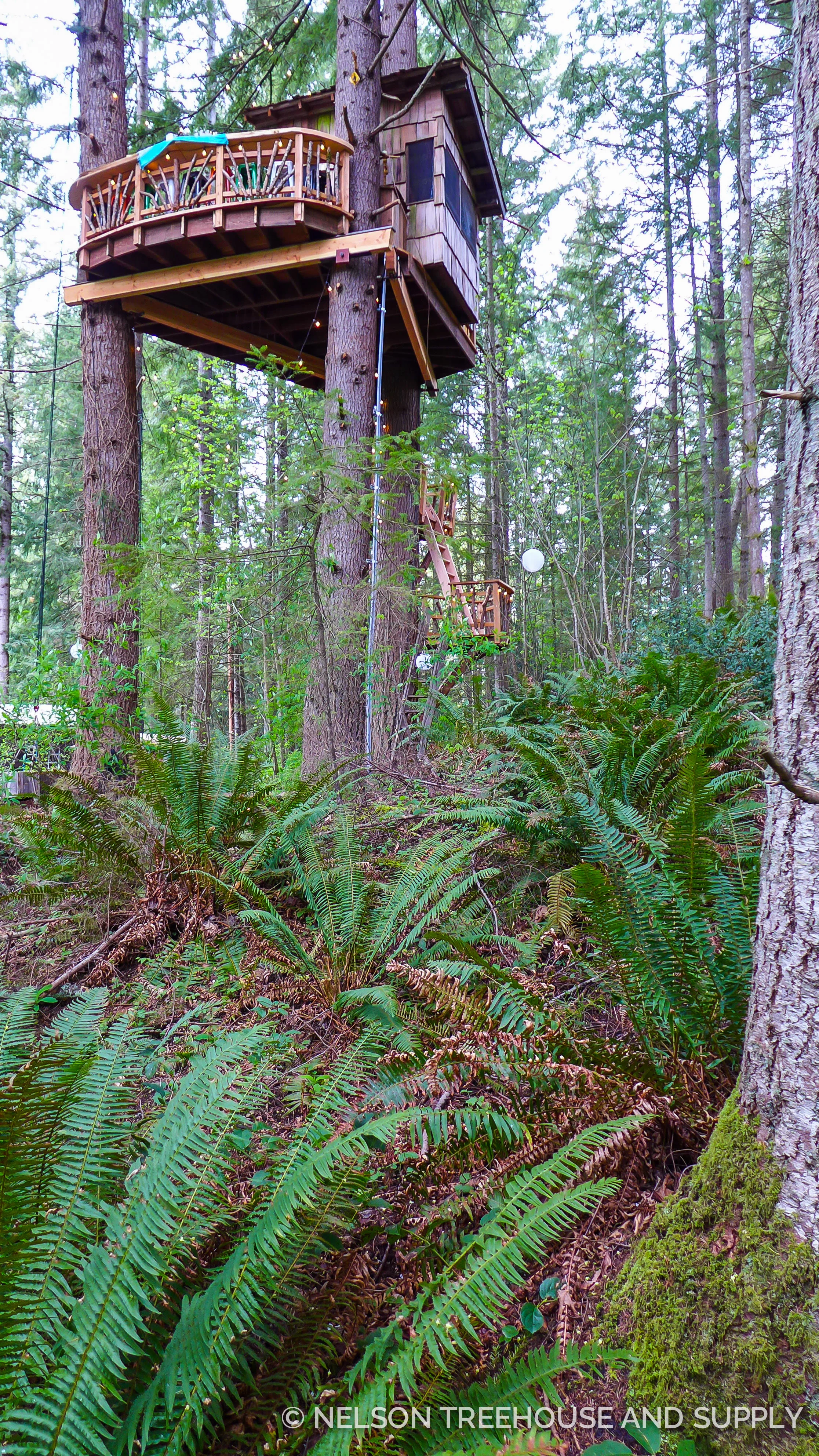 2015_Emily_Patrick_Issaquah-13.jpg