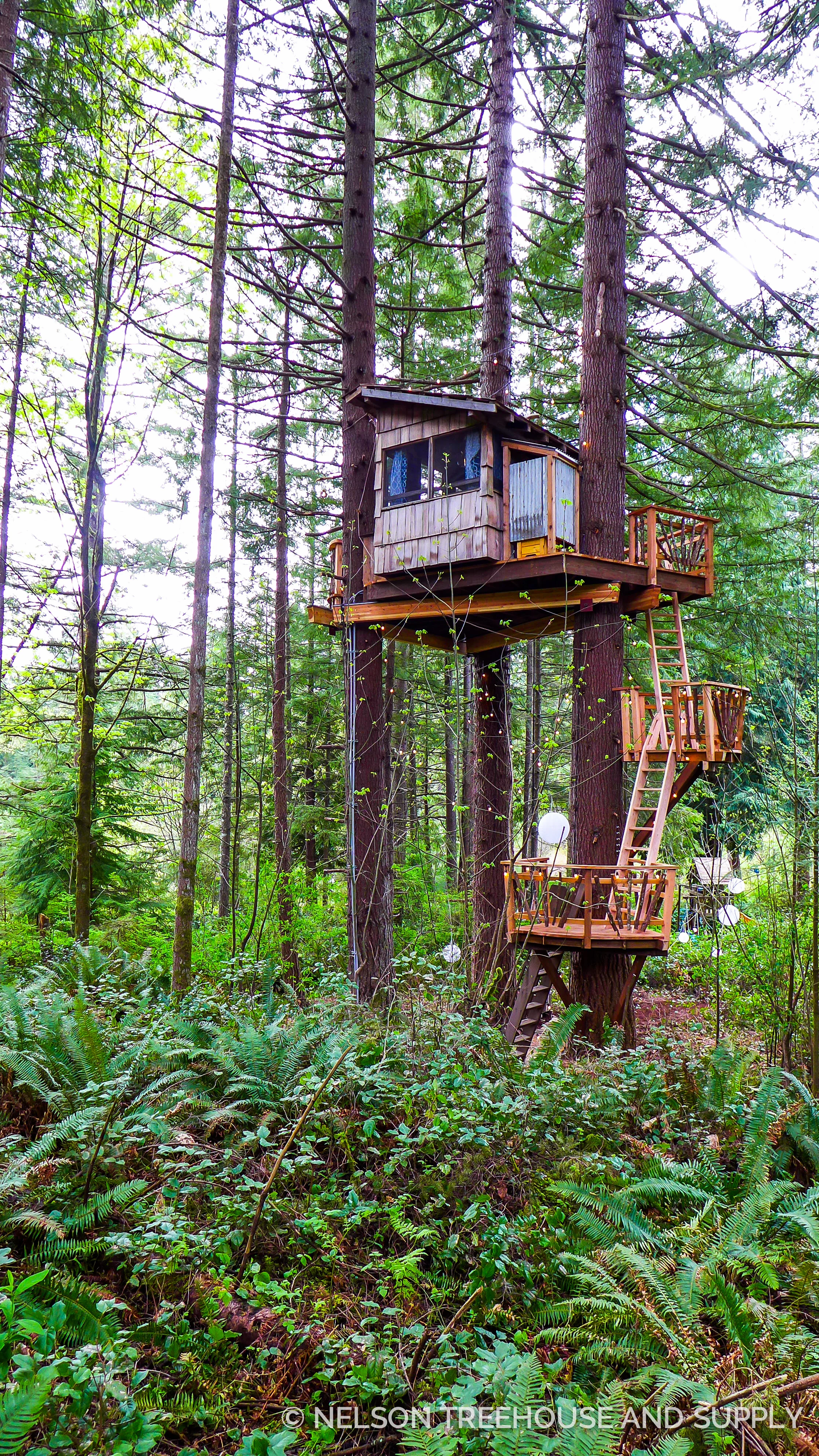 2015_Emily_Patrick_Issaquah-29.jpg
