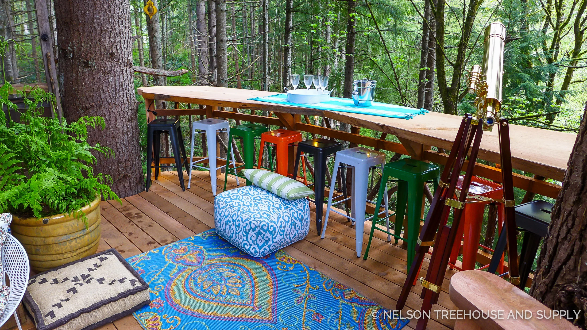 2015_Emily_Patrick_Issaquah-66.jpg