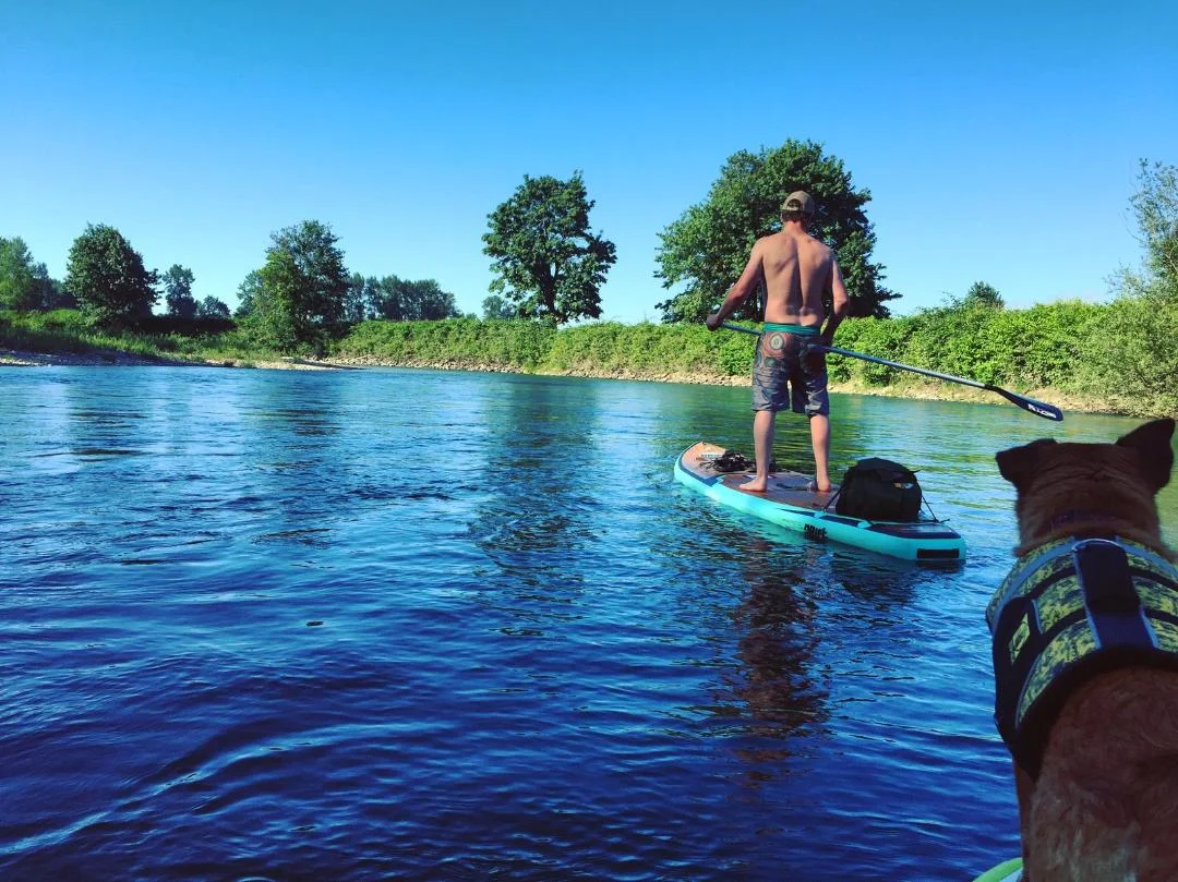 Emily and Patrick's pooch, Toastybun, (pictured on far right) leads an expedition to explore local waters with Experience SUP.