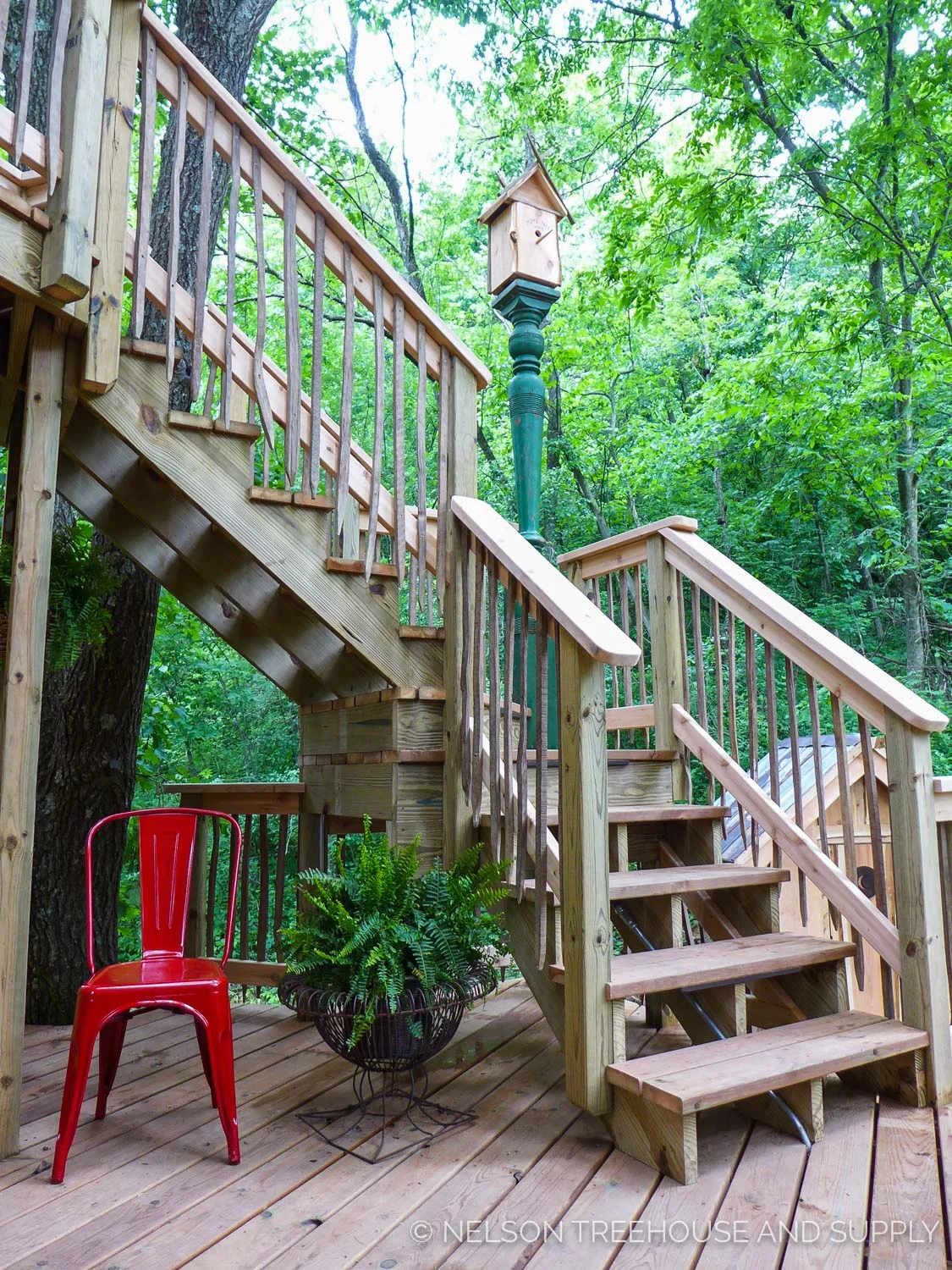 birdhouse_nelson_treehouse_2017-60.jpg
