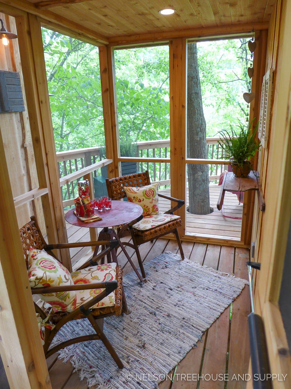 birdhouse_nelson_treehouse_2017-74.jpg
