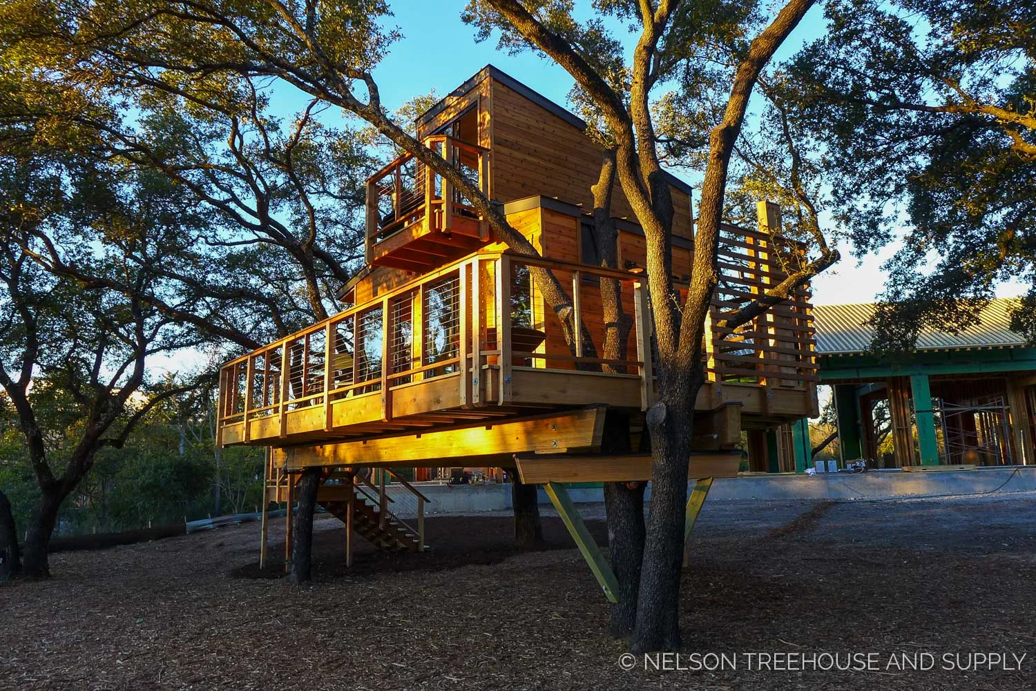 treehouse-masters-city-sleeker-25.jpg