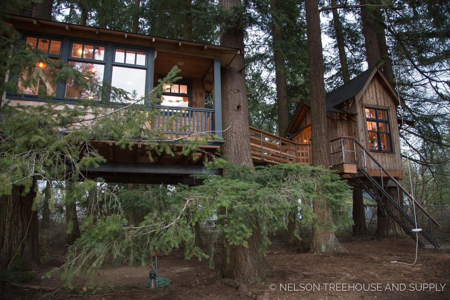 Bionic_Treehouse_Revamp_2014-2.jpg