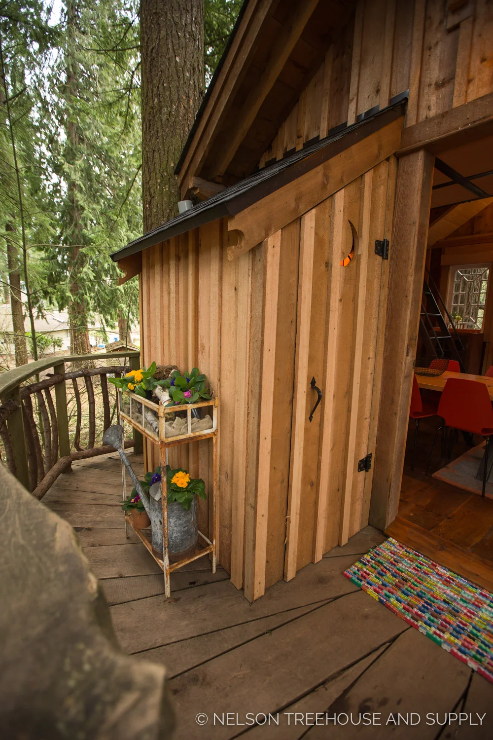Bionic_Treehouse_Revamp_2014-7.jpg