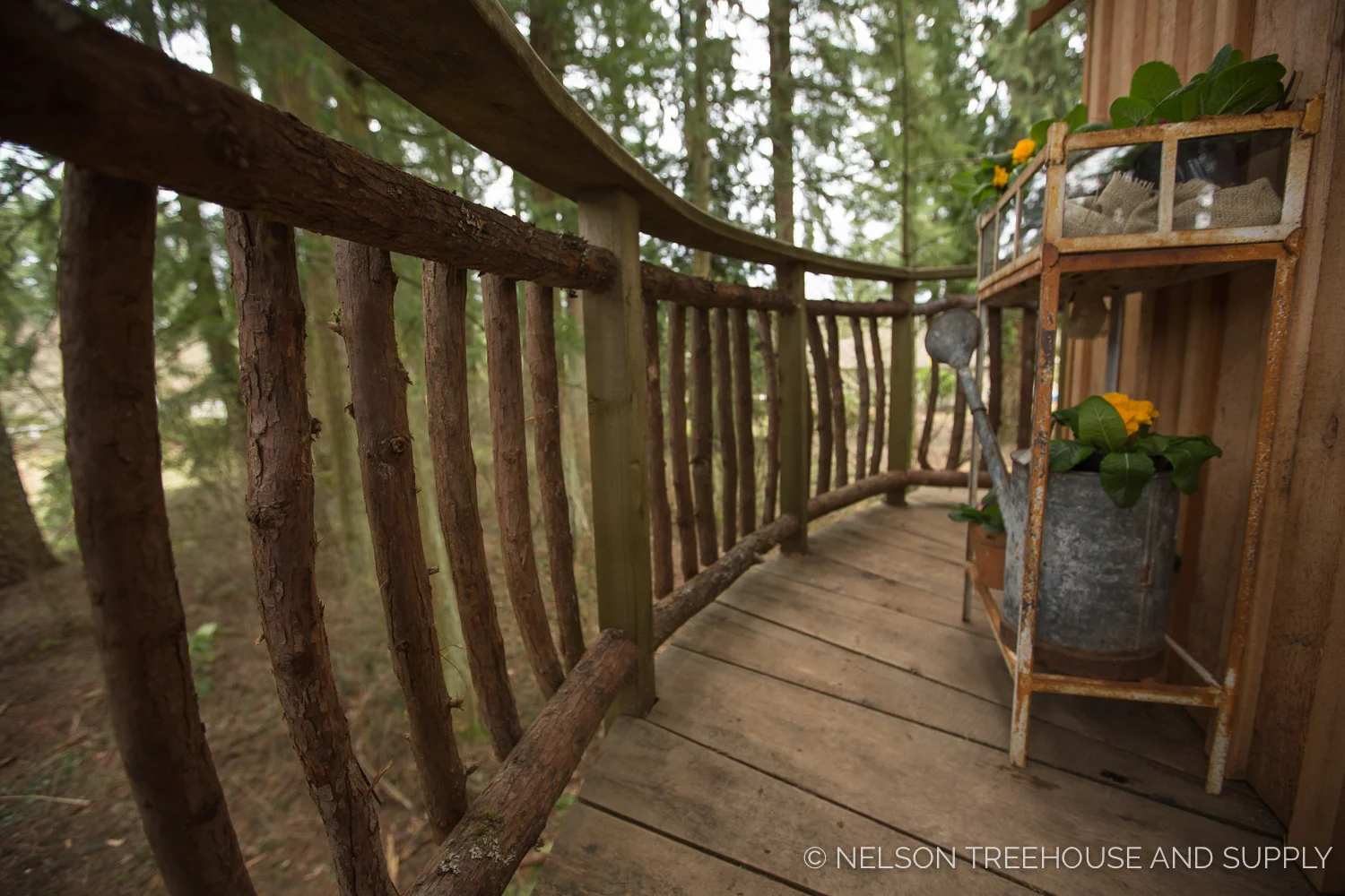 Bionic_Treehouse_Revamp_2014-8.jpg