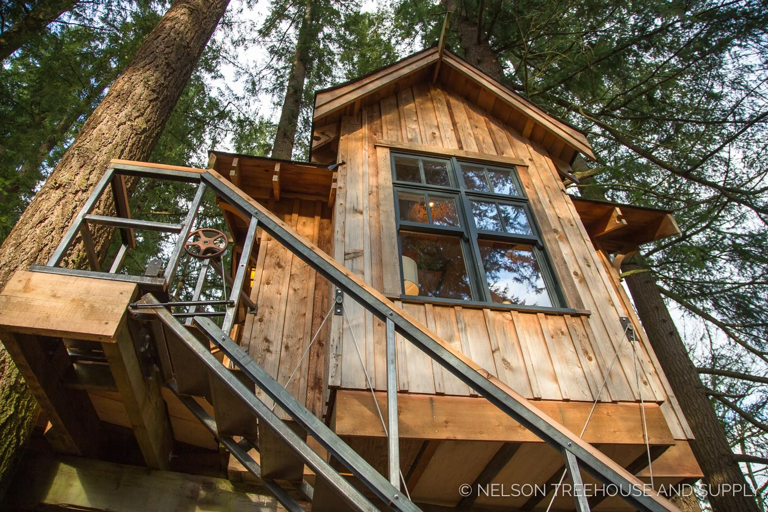 Bionic_Treehouse_Revamp_2014-11.jpg