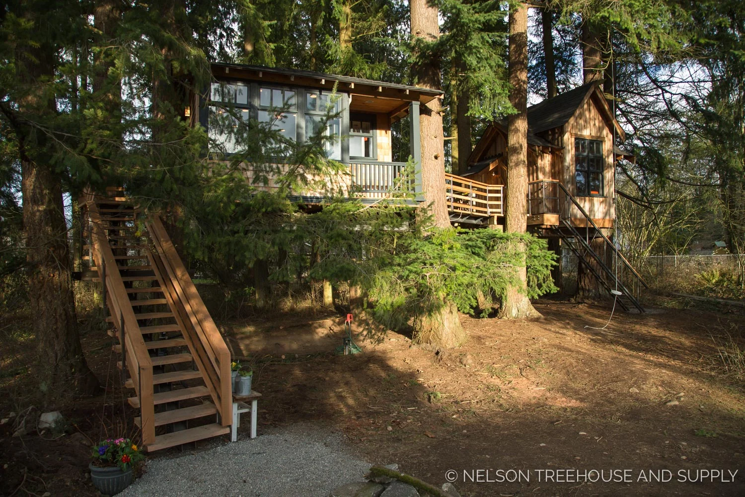 Bionic_Treehouse_Revamp_2014-12.jpg