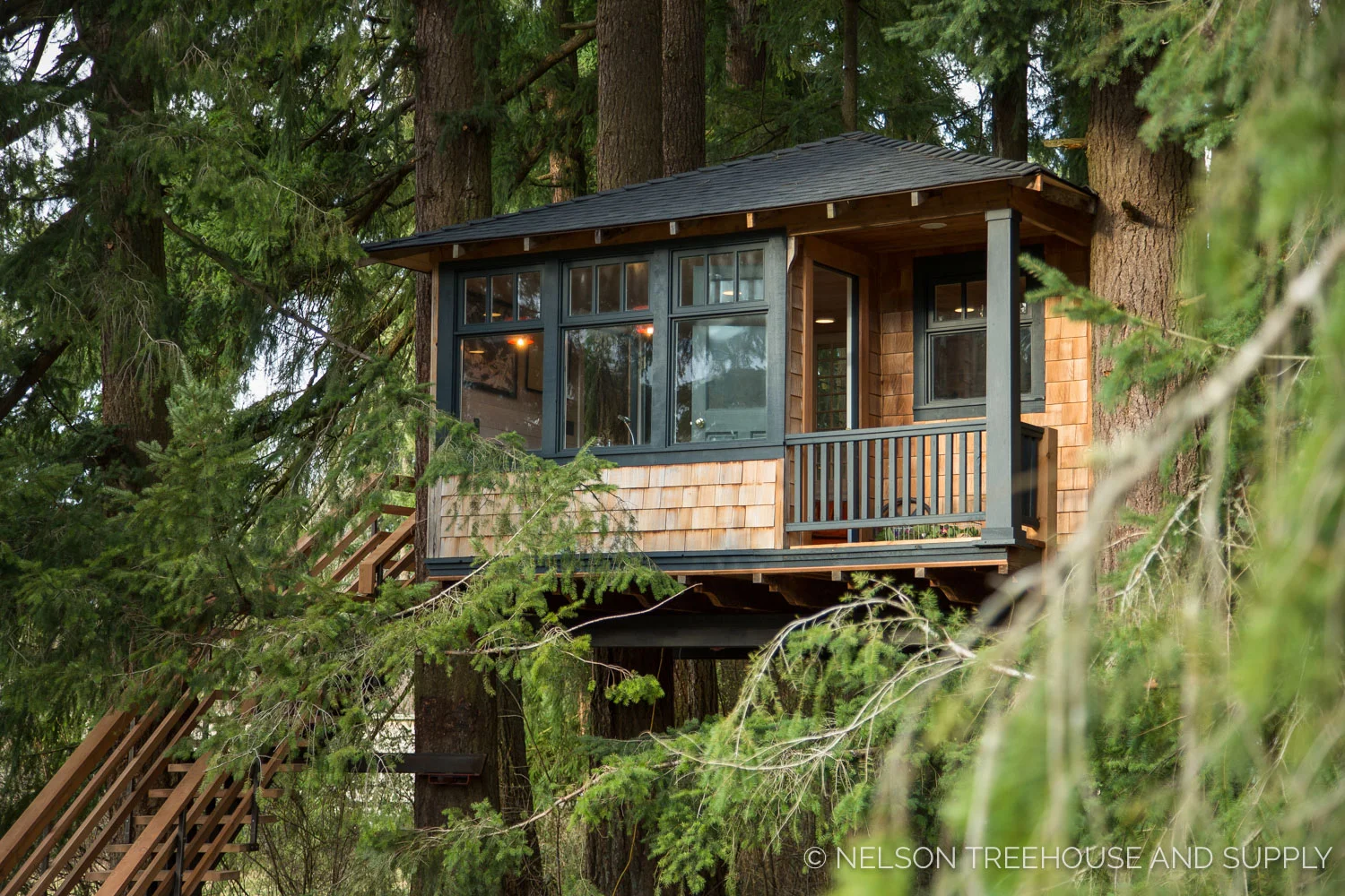 Bionic_Treehouse_Revamp_2014-14.jpg